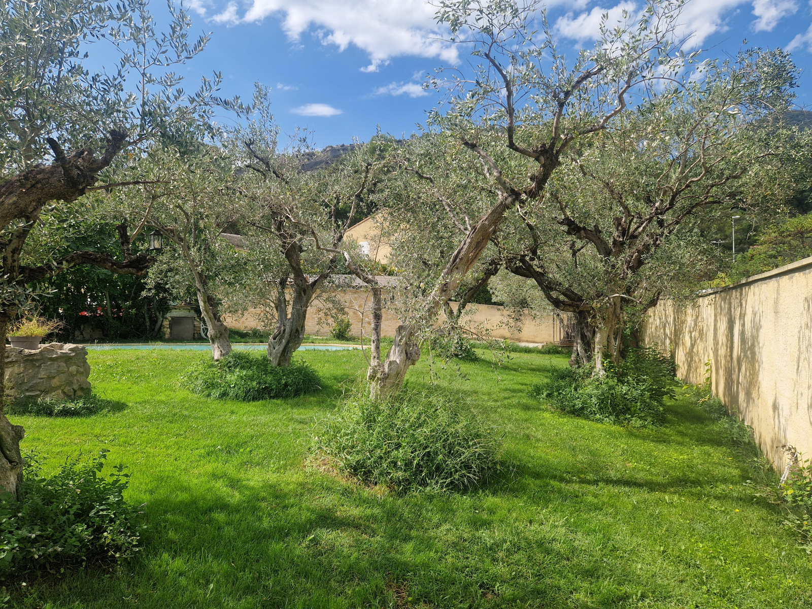 Image_, Villa, Nyons, ref :TG1909