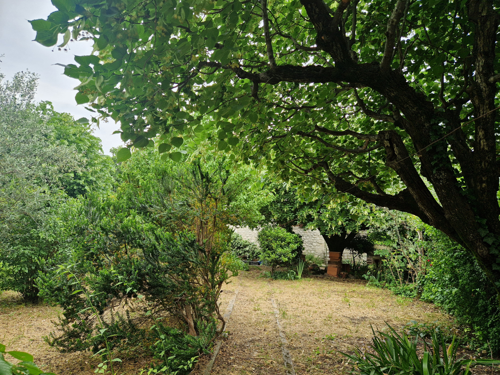 Image_, Maison de village, Buis-les-Baronnies, ref :MA1813B