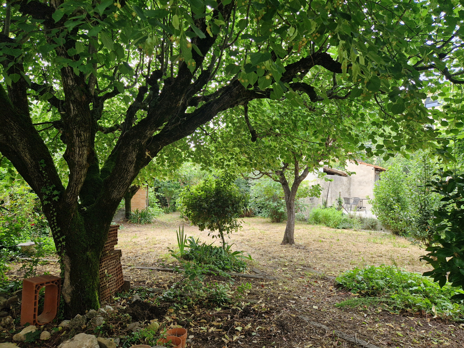 Image_, Maison de village, Buis-les-Baronnies, ref :MA1813B