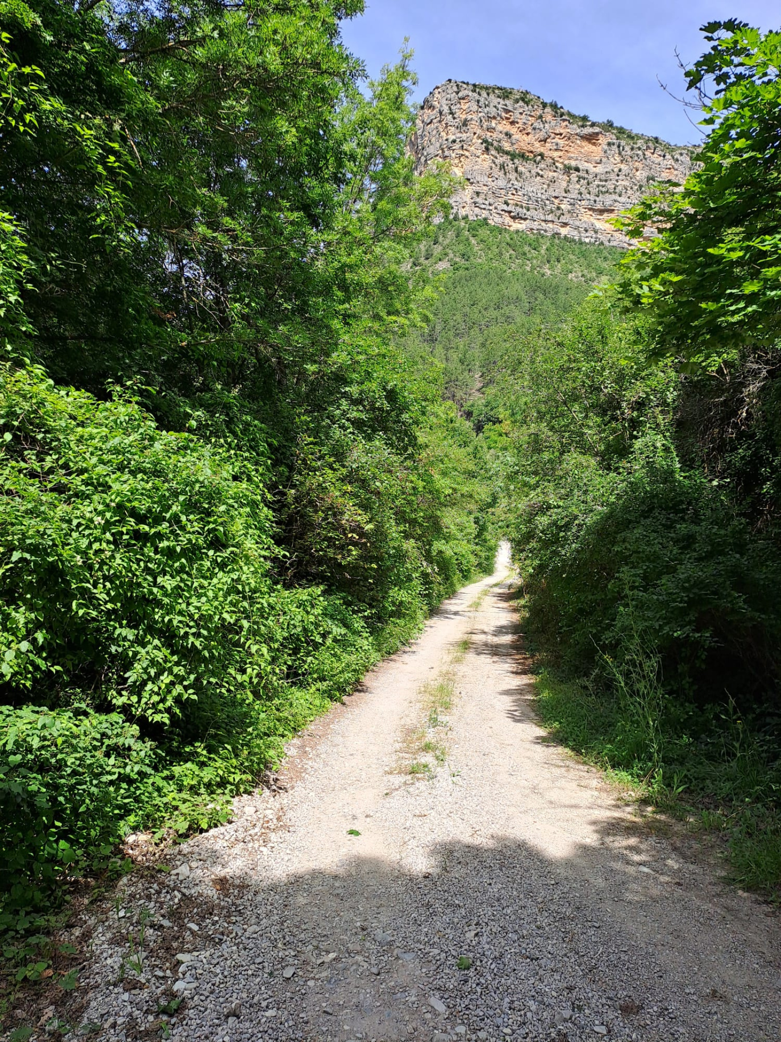 Image_, Terrain de loisir, Rémuzat, ref :MA1823