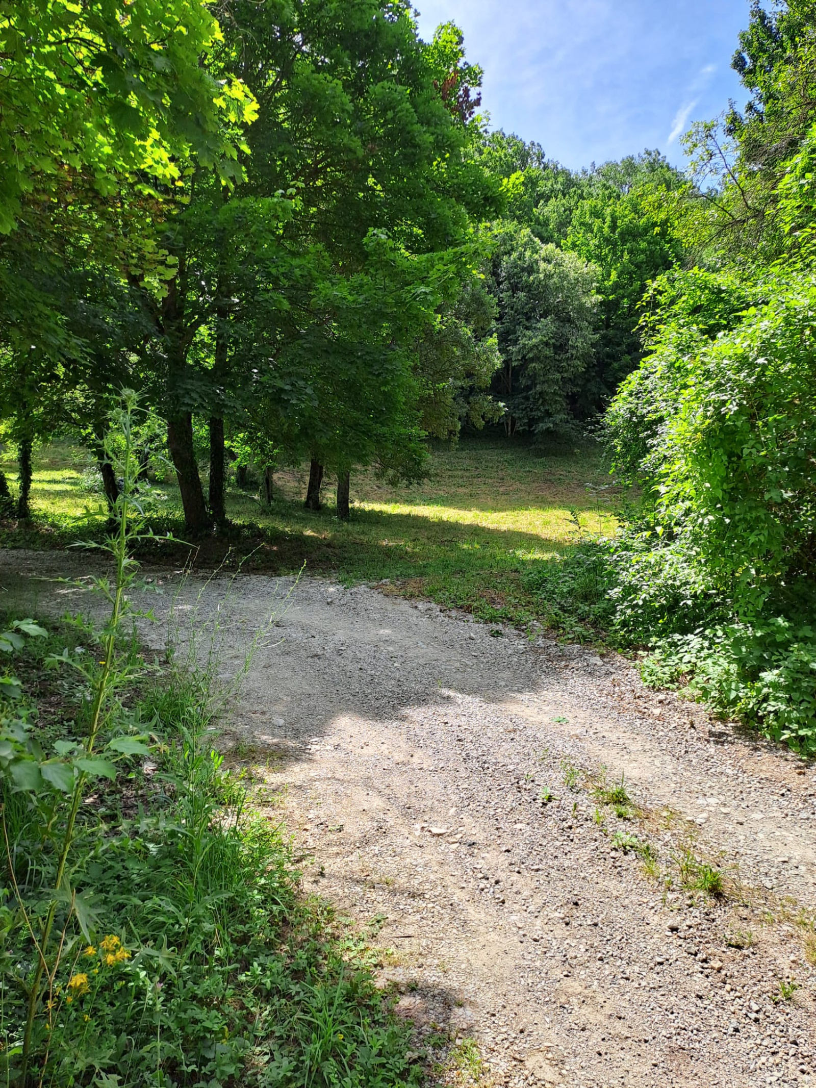 Image_, Terrain de loisir, Rémuzat, ref :MA1823