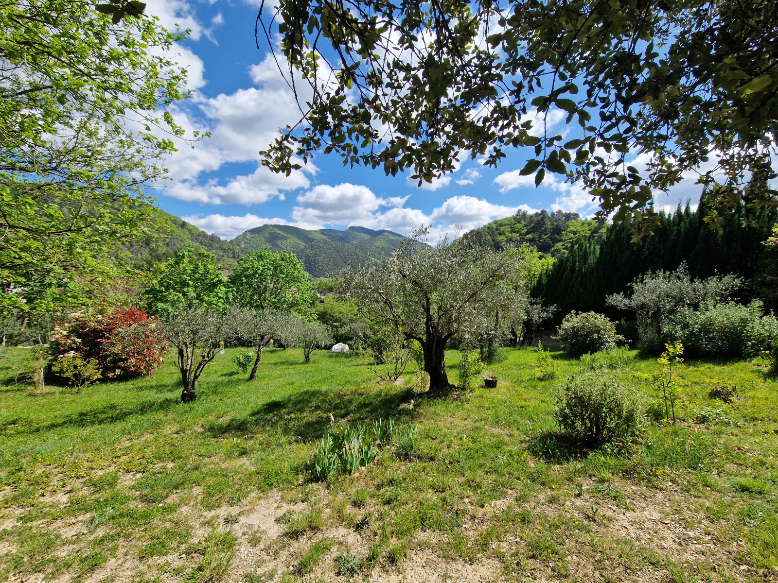 Image_, Villa, Aubres, ref :AO1860