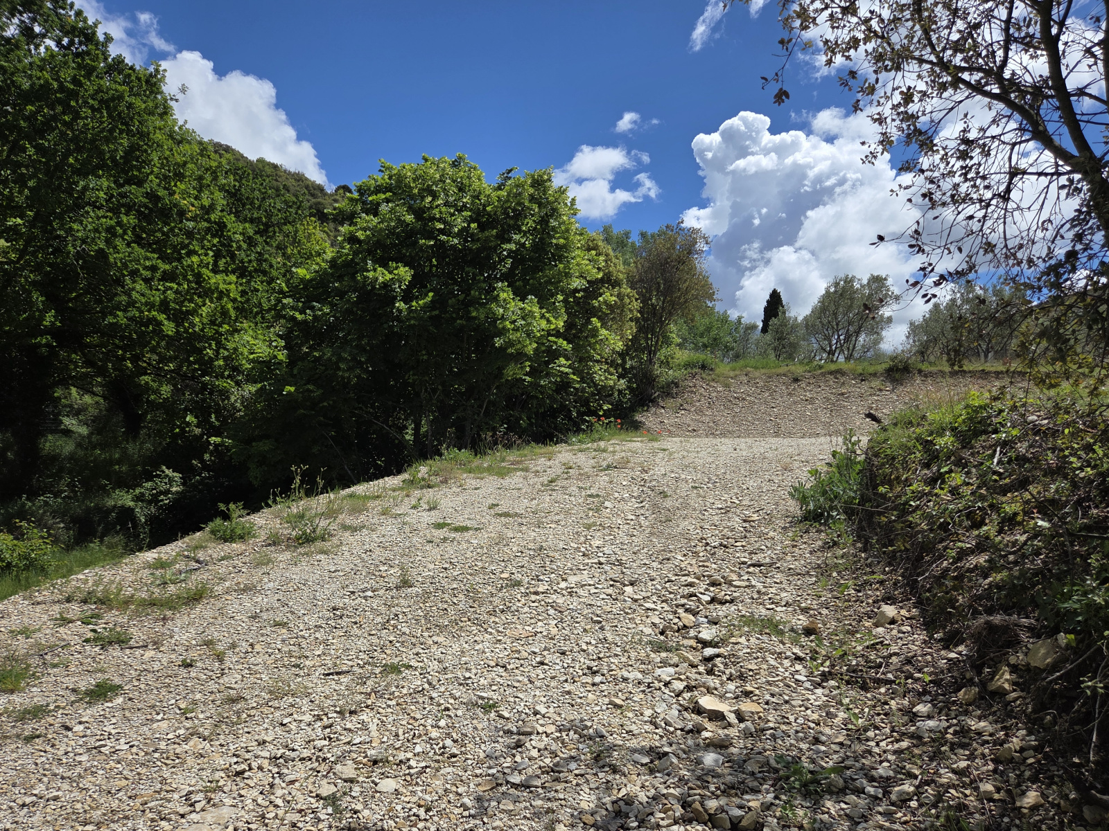 Image_, Terrain à batir, Venterol, ref :MA1882