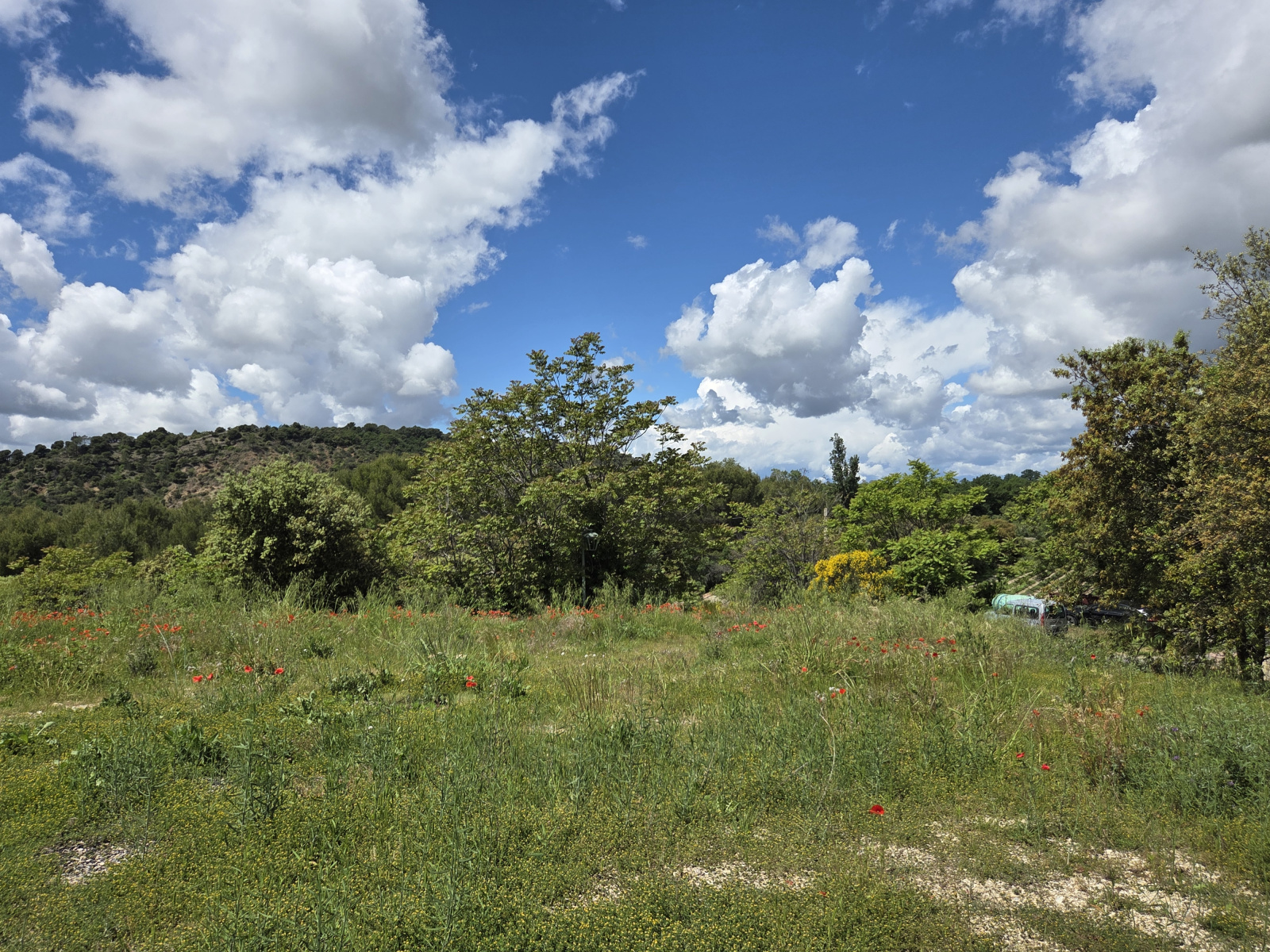 Image_, Terrain à batir, Venterol, ref :MA1882