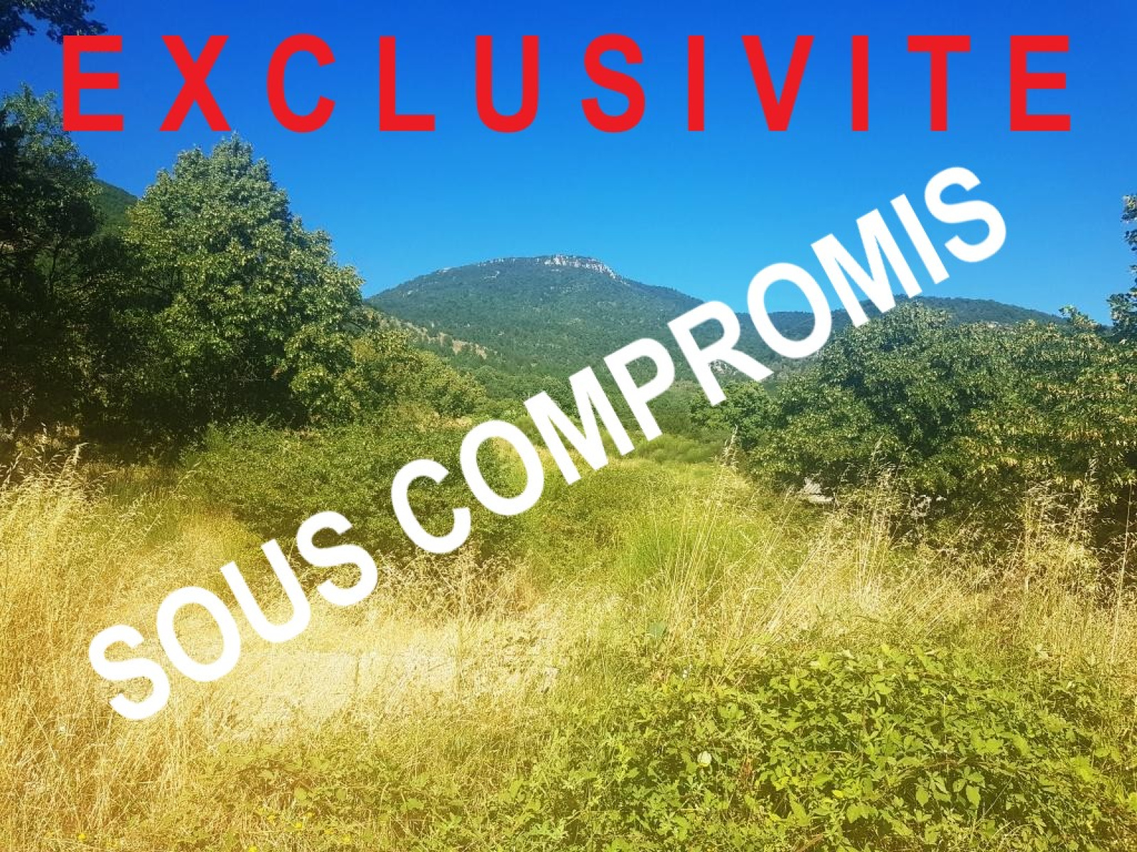 Image_, Terrain à batir, Bellecombe-Tarendol, ref :MA1752