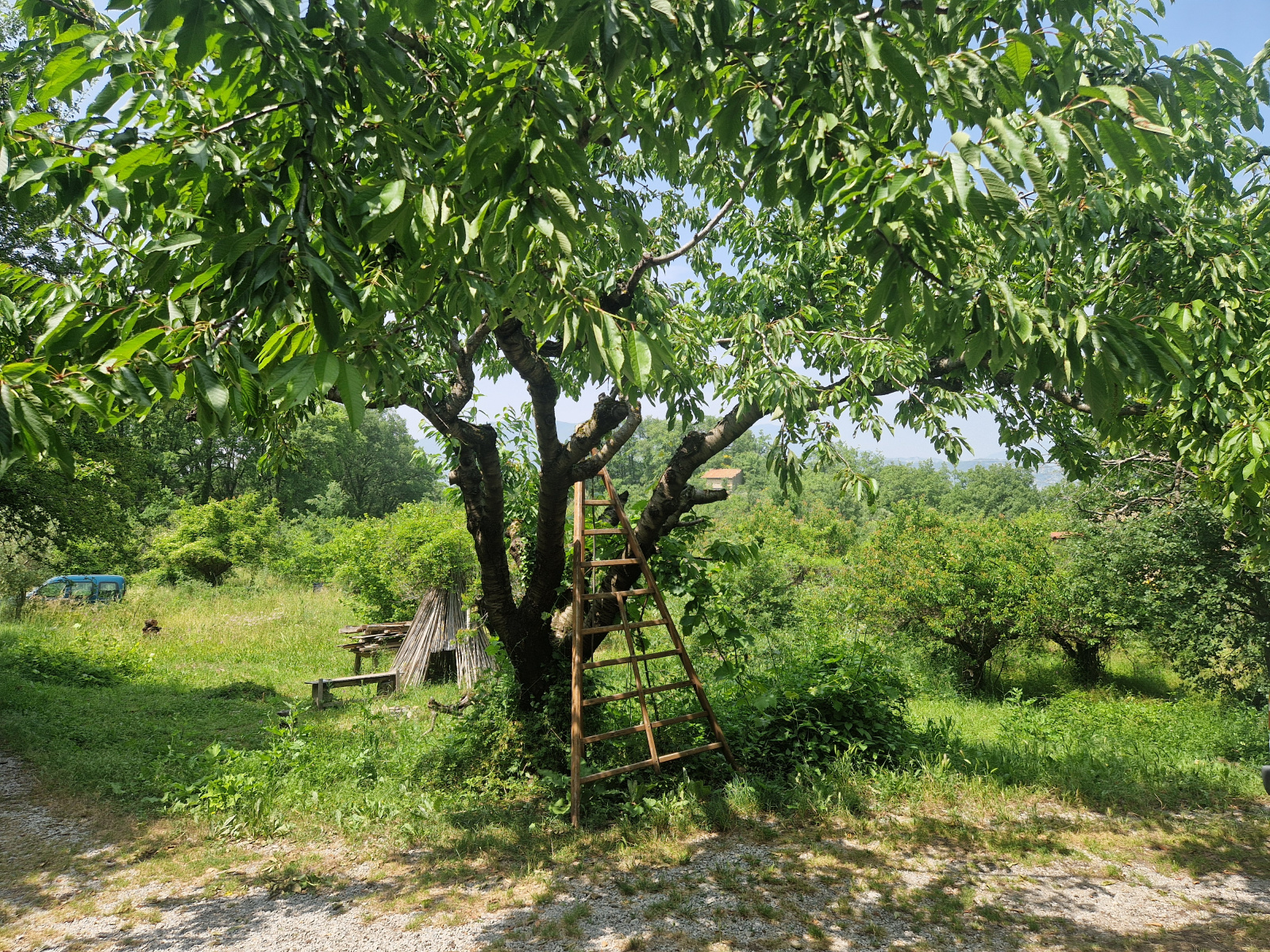 Image_, Ferme, Nyons, ref :AO1812