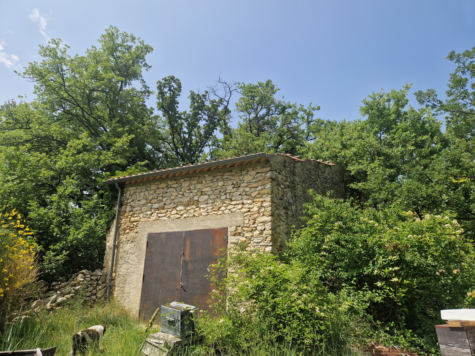 Image_, Ferme, Nyons, ref :AO1812