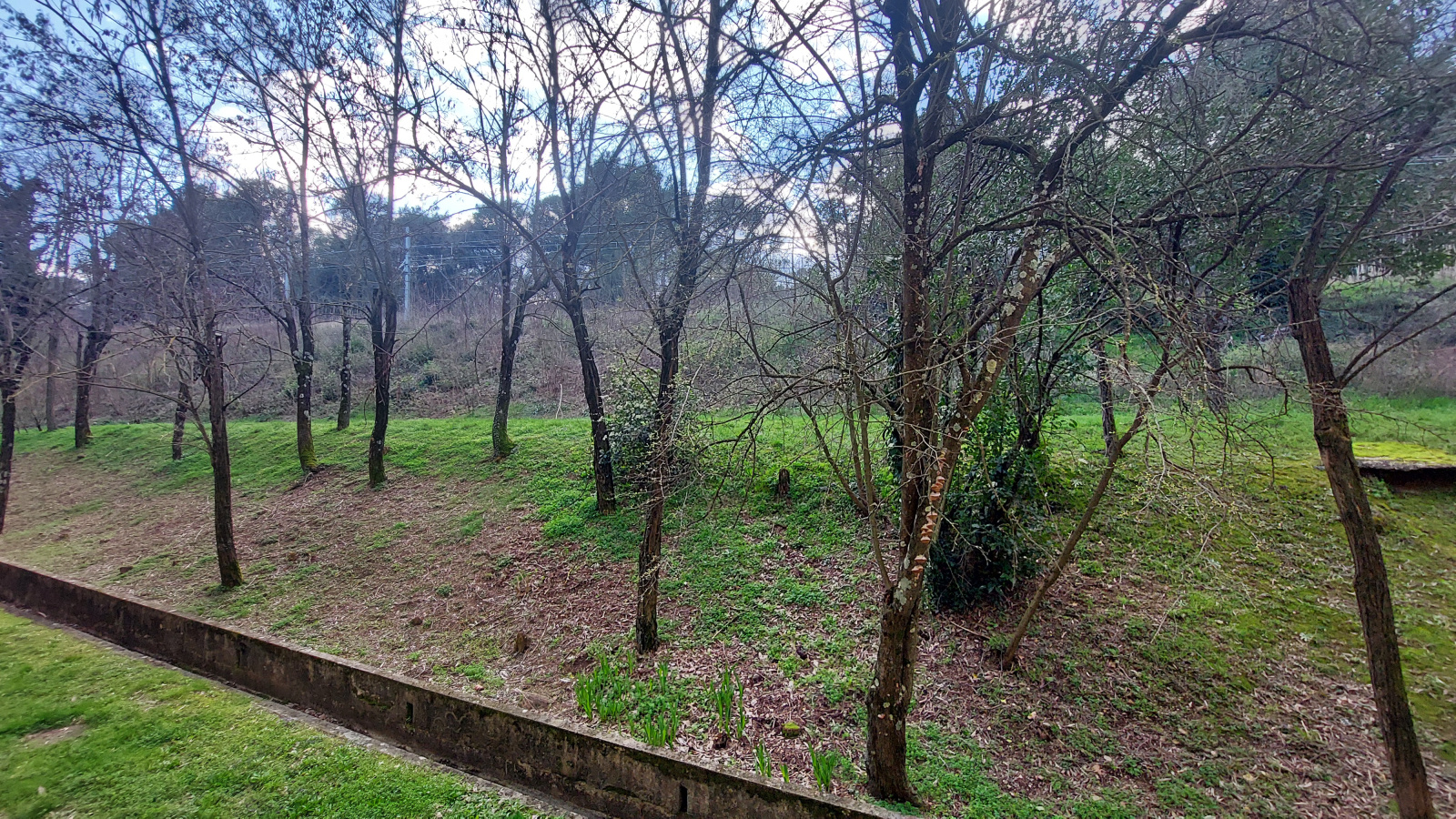 Image_, Appartement, Bourg-Saint-Andéol, ref :PA1858