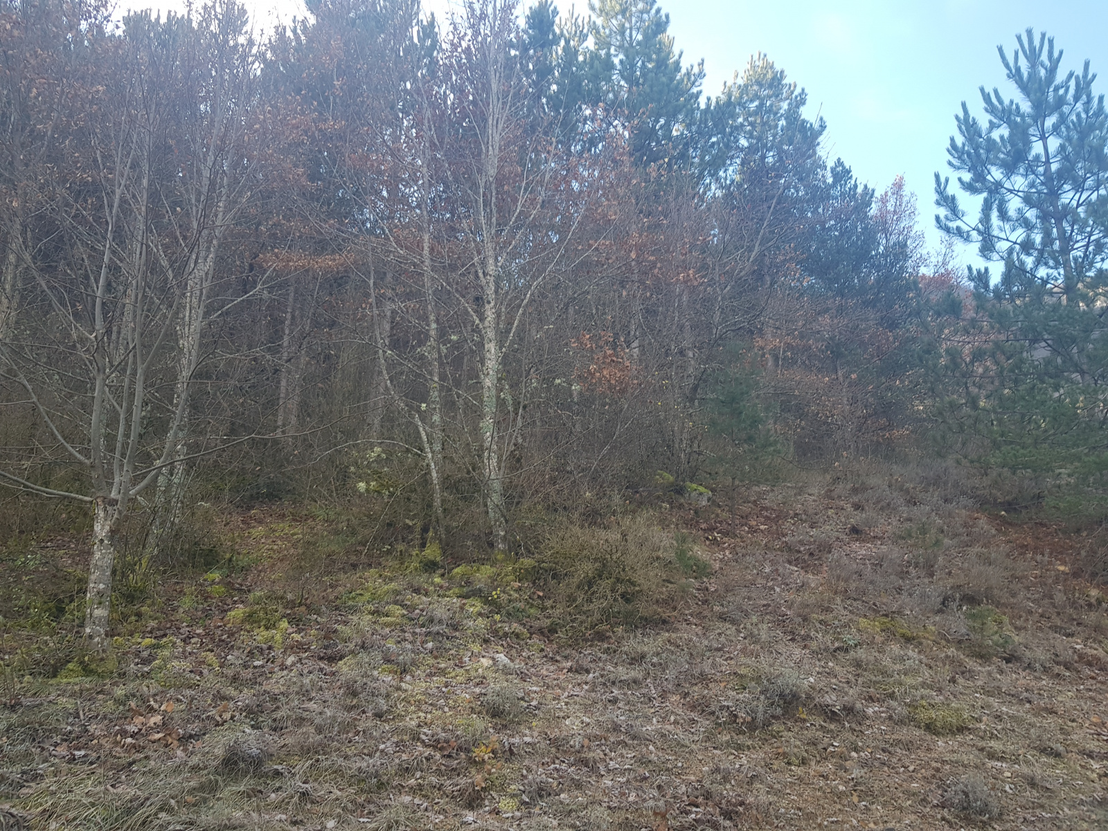 Image_, Terrain agricole, Rémuzat, ref :MA1776