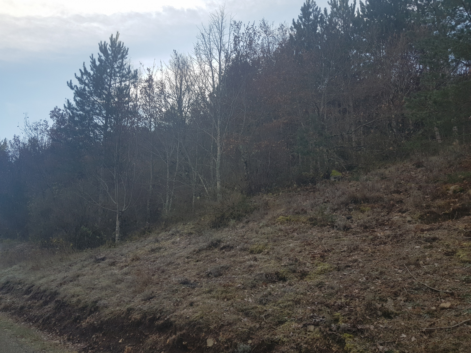 Image_, Terrain agricole, Rémuzat, ref :MA1776