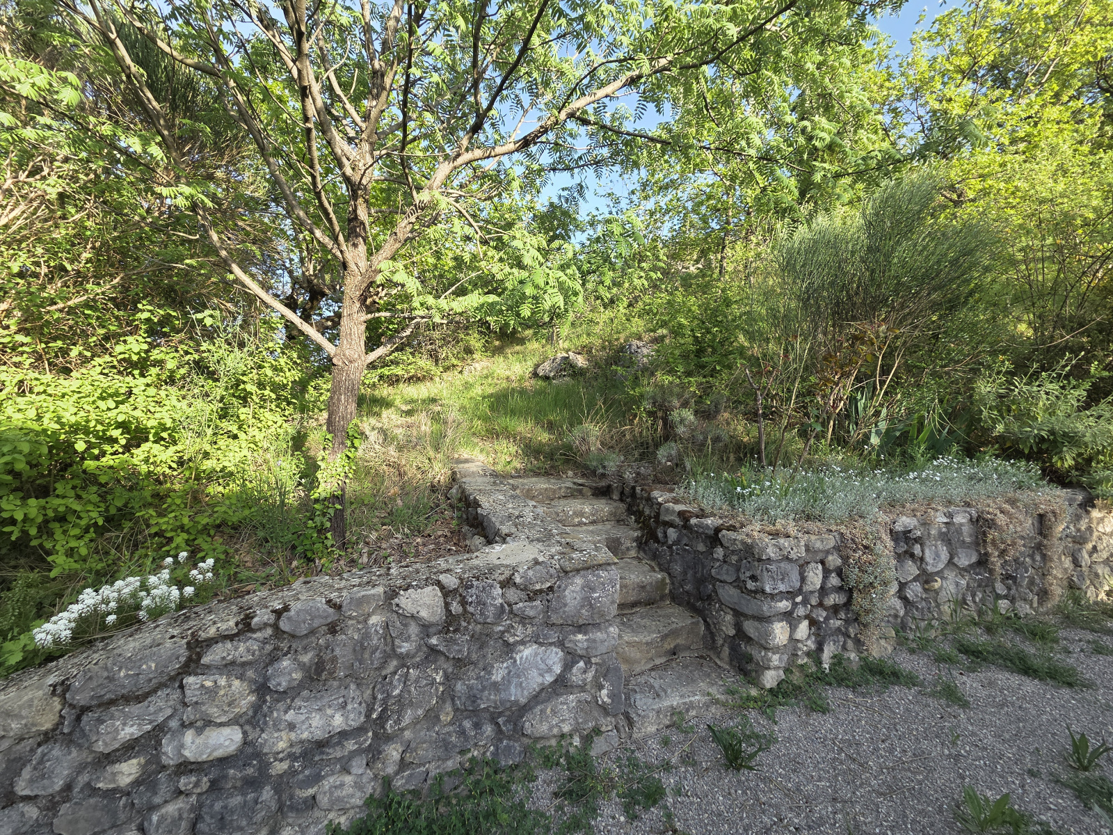 Image_, Propriete, Sahune, ref :MA1861