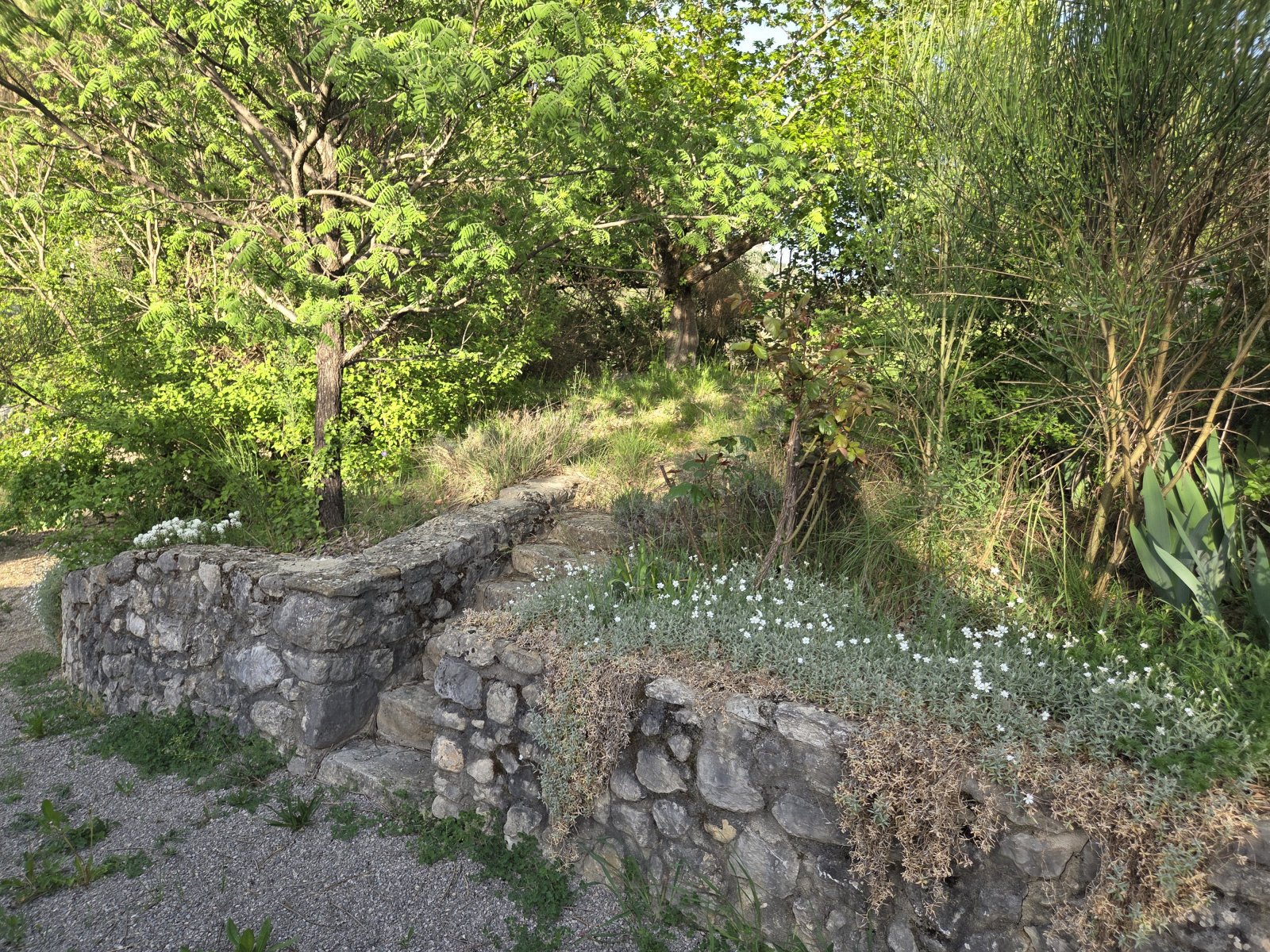 Image_, Propriete, Sahune, ref :MA1861