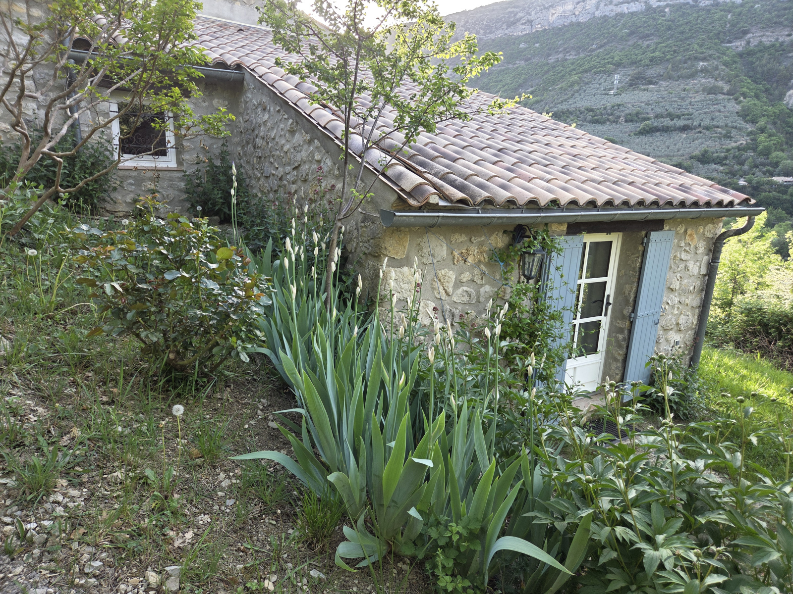 Image_, Propriete, Sahune, ref :MA1861