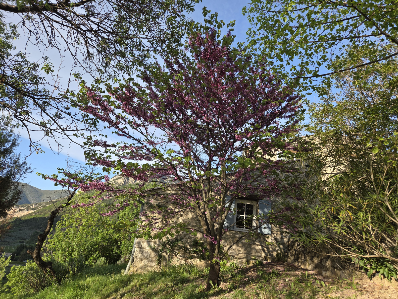 Image_, Propriete, Sahune, ref :MA1861