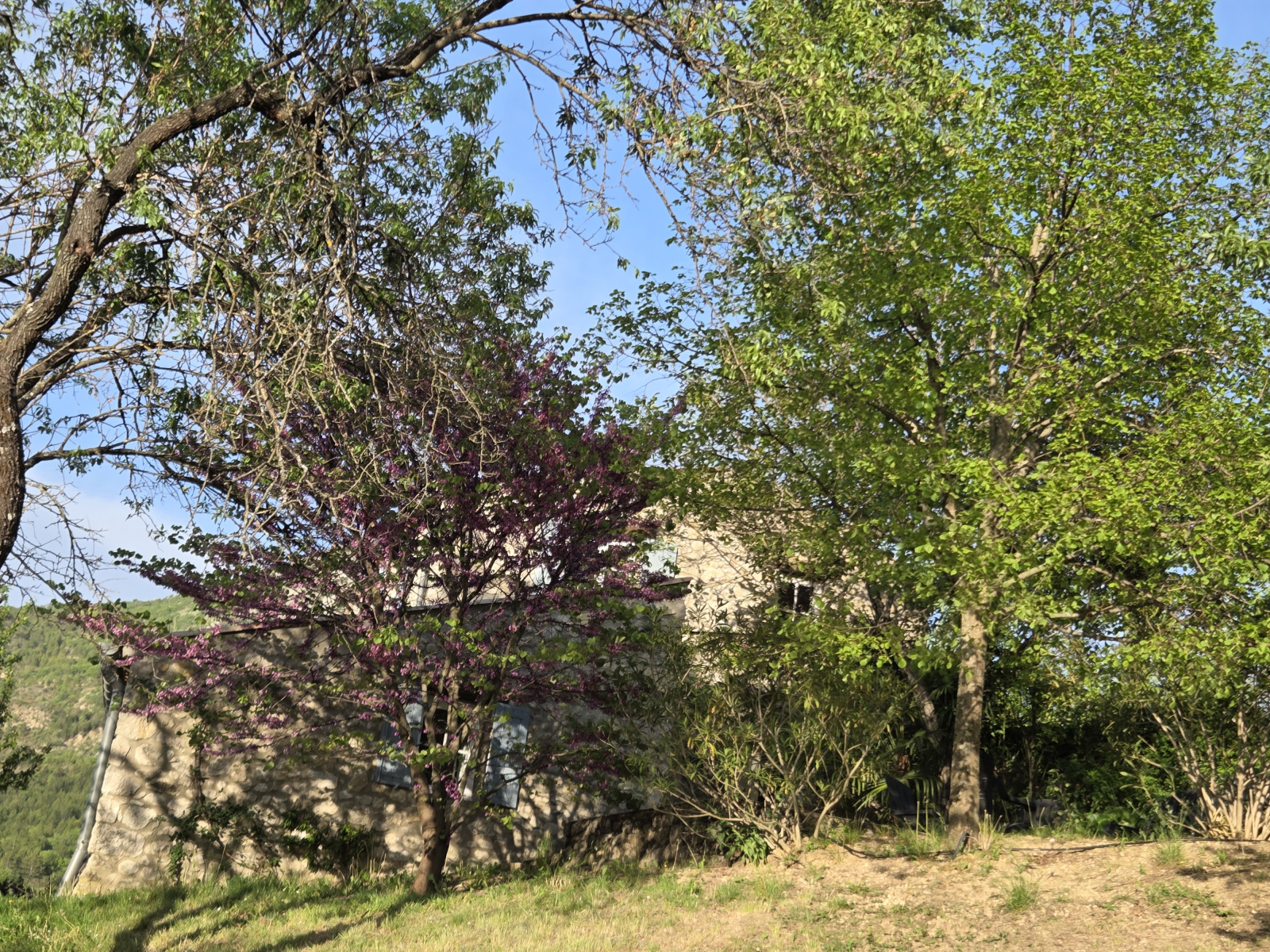 Image_, Propriete, Sahune, ref :MA1861