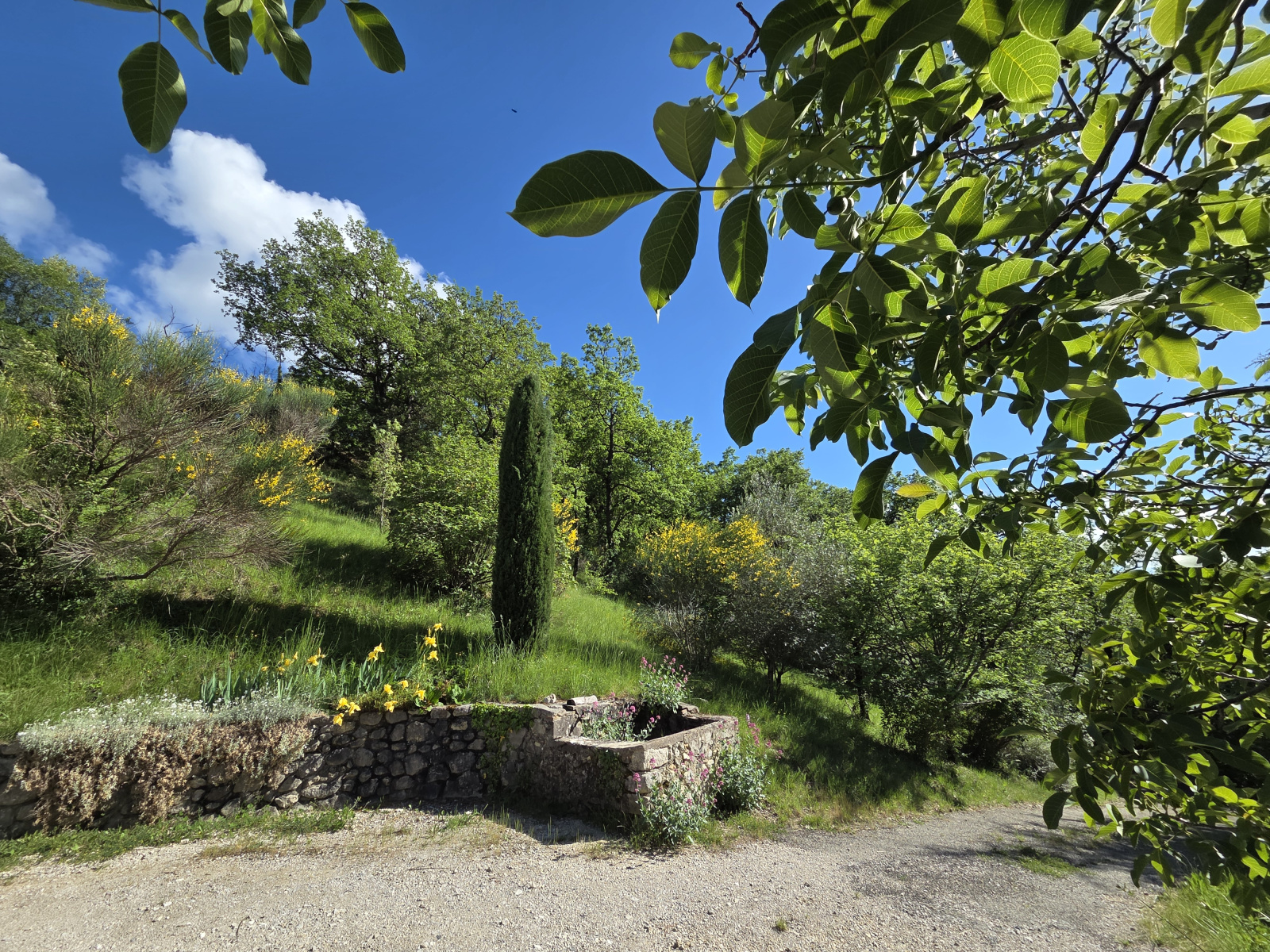 Image_, Propriete, Sahune, ref :MA1861