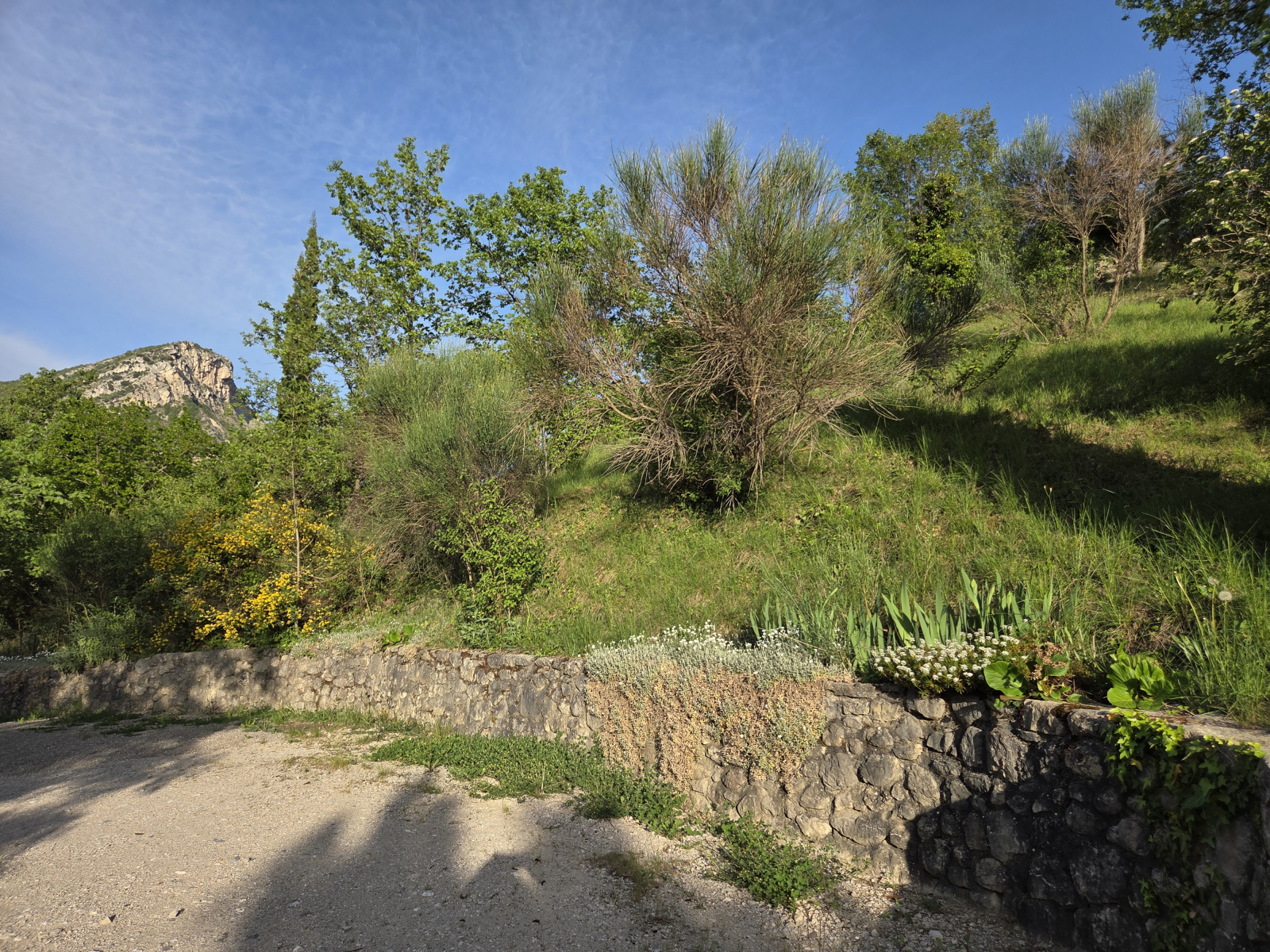 Image_, Propriete, Sahune, ref :MA1861