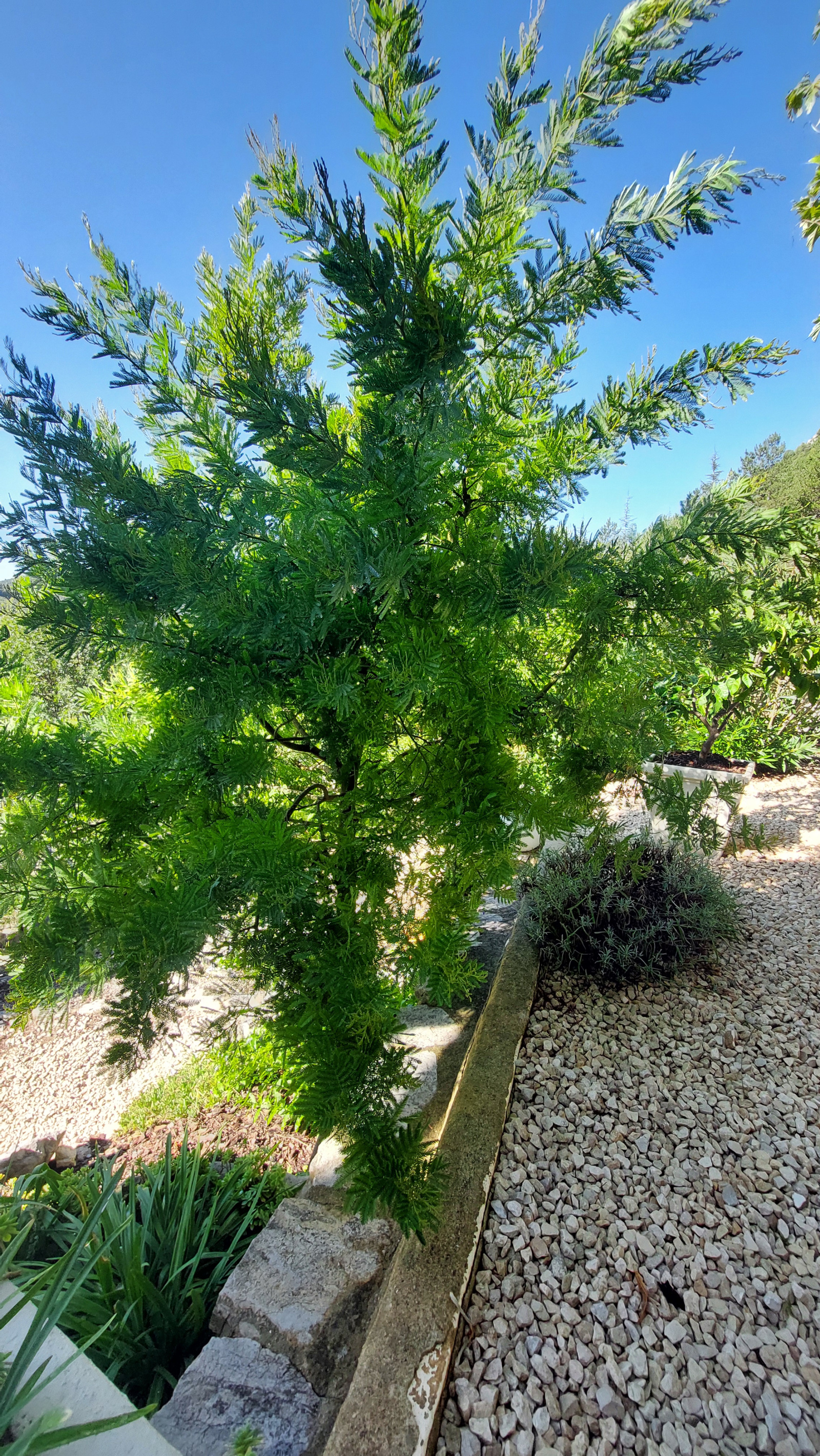 Image_, Maison, Sahune, ref :MA1827