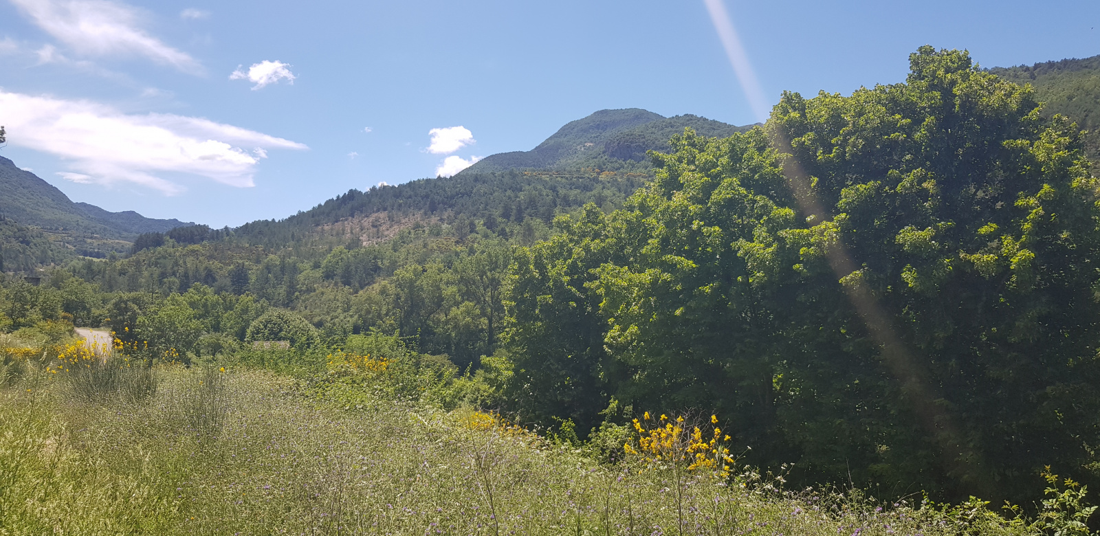 Image_, Terrain à batir, Montaulieu, ref :MA1747