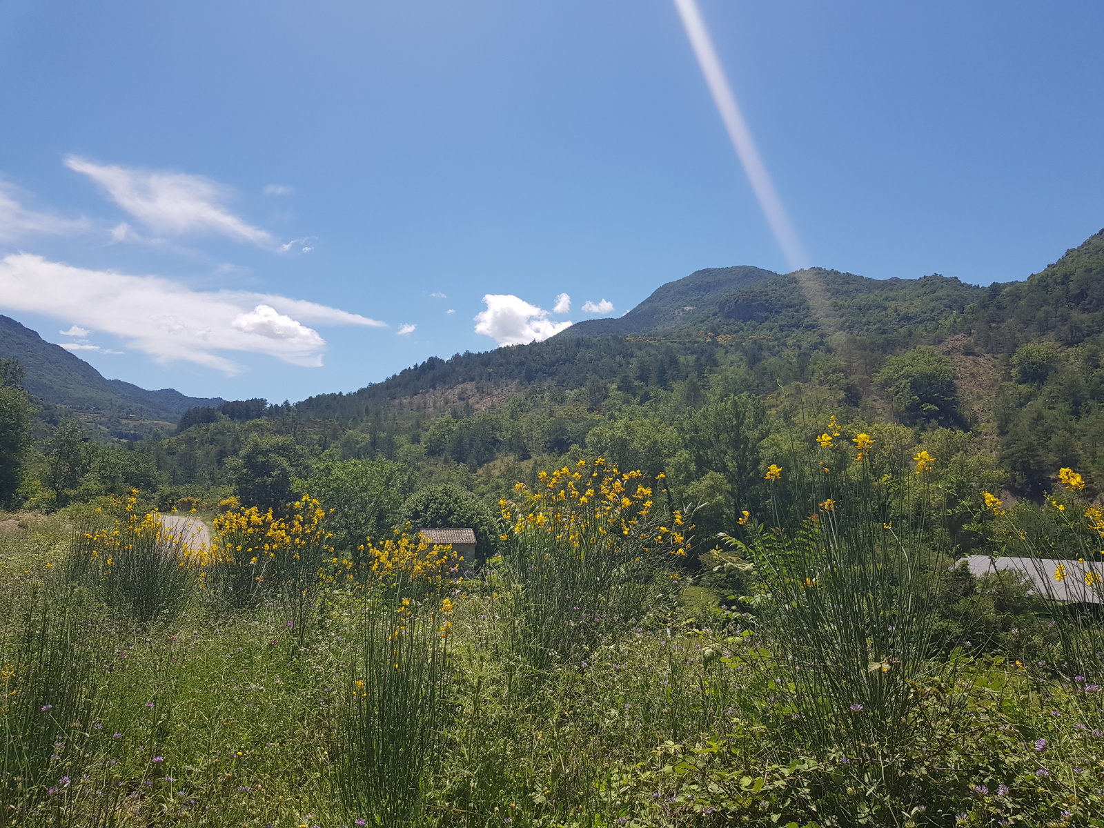 Image_, Terrain à batir, Montaulieu, ref :MA1747