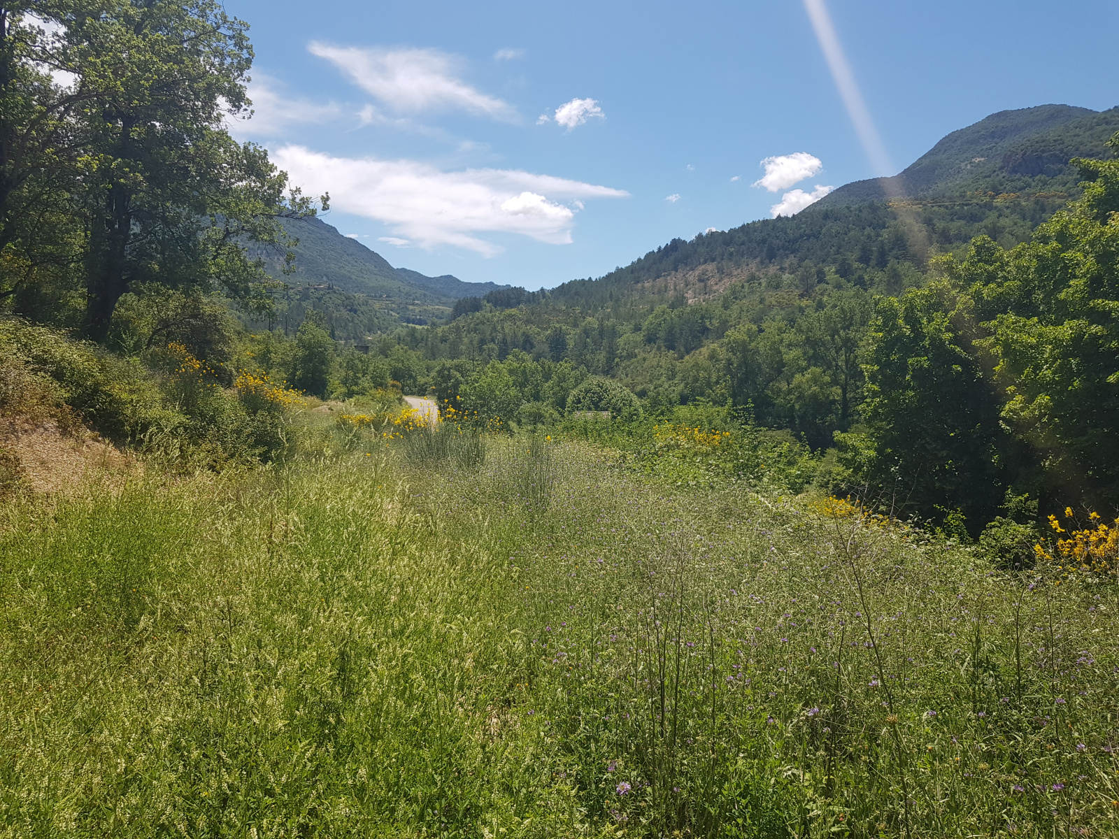 Image_, Terrain à batir, Montaulieu, ref :MA1747