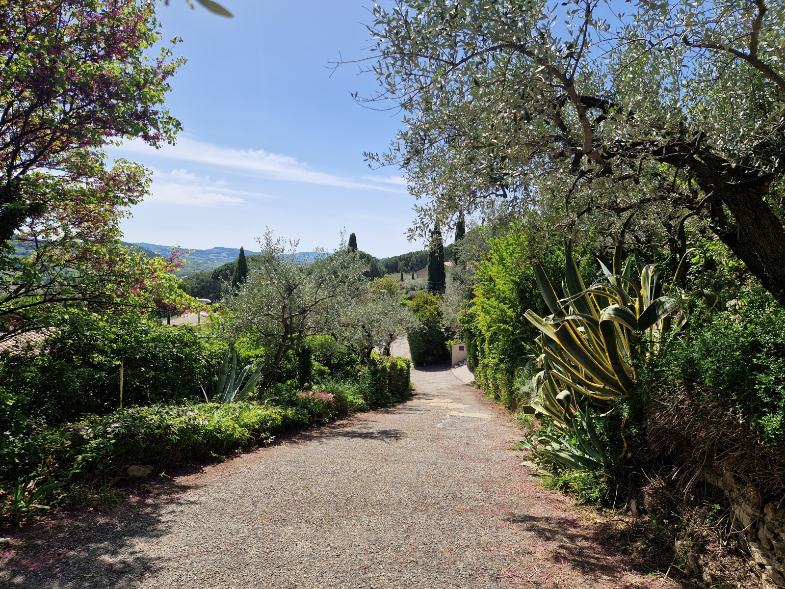 Image_, Villa, Nyons, ref :MA1877