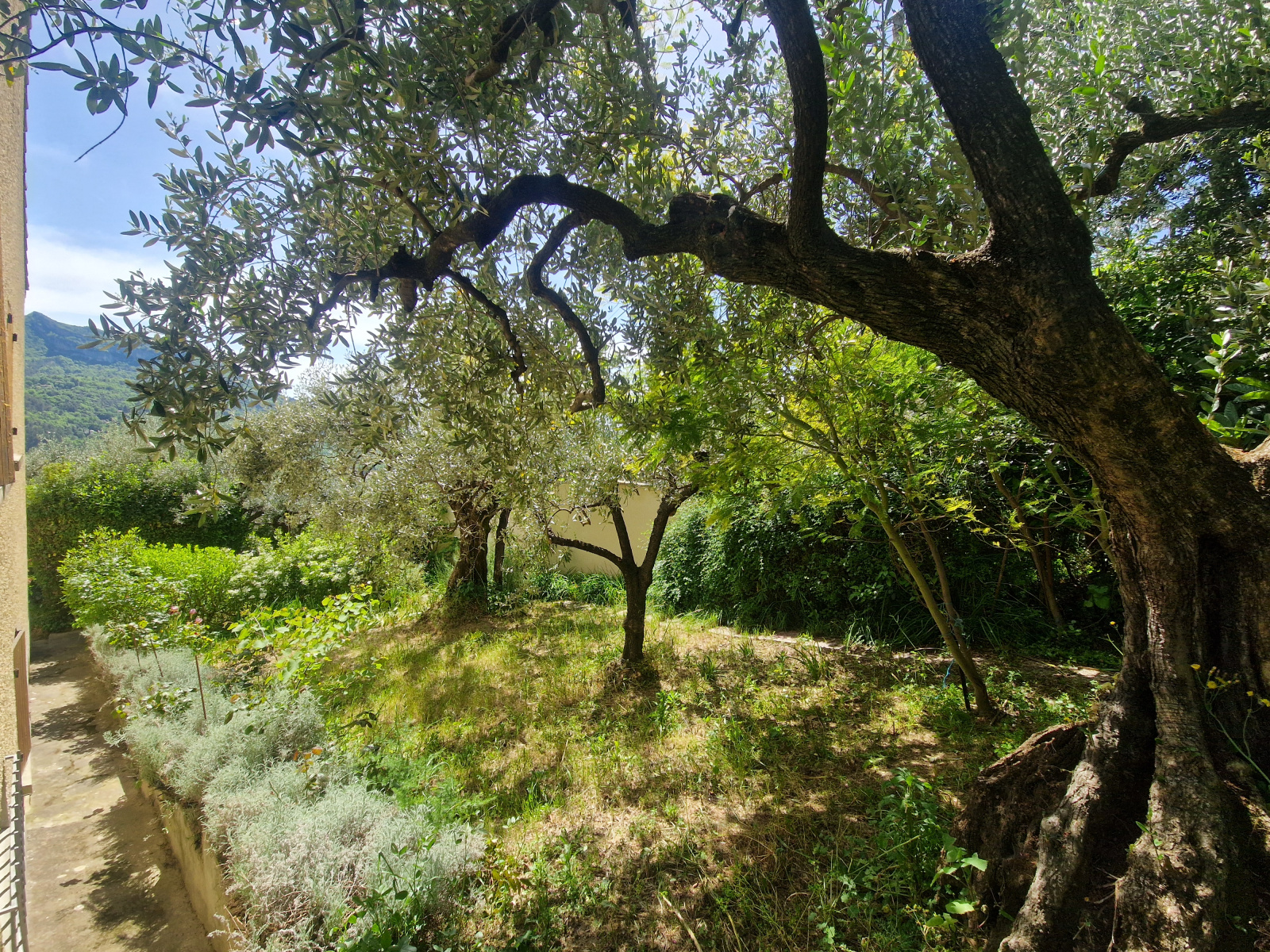 Image_, Villa, Nyons, ref :MA1877