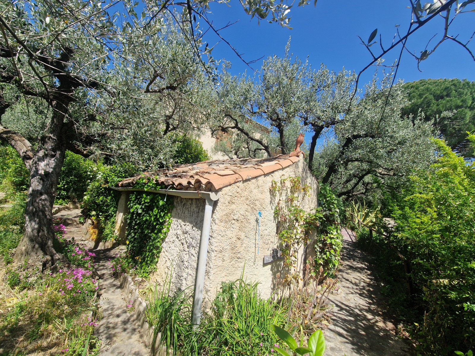 Image_, Villa, Nyons, ref :MA1877