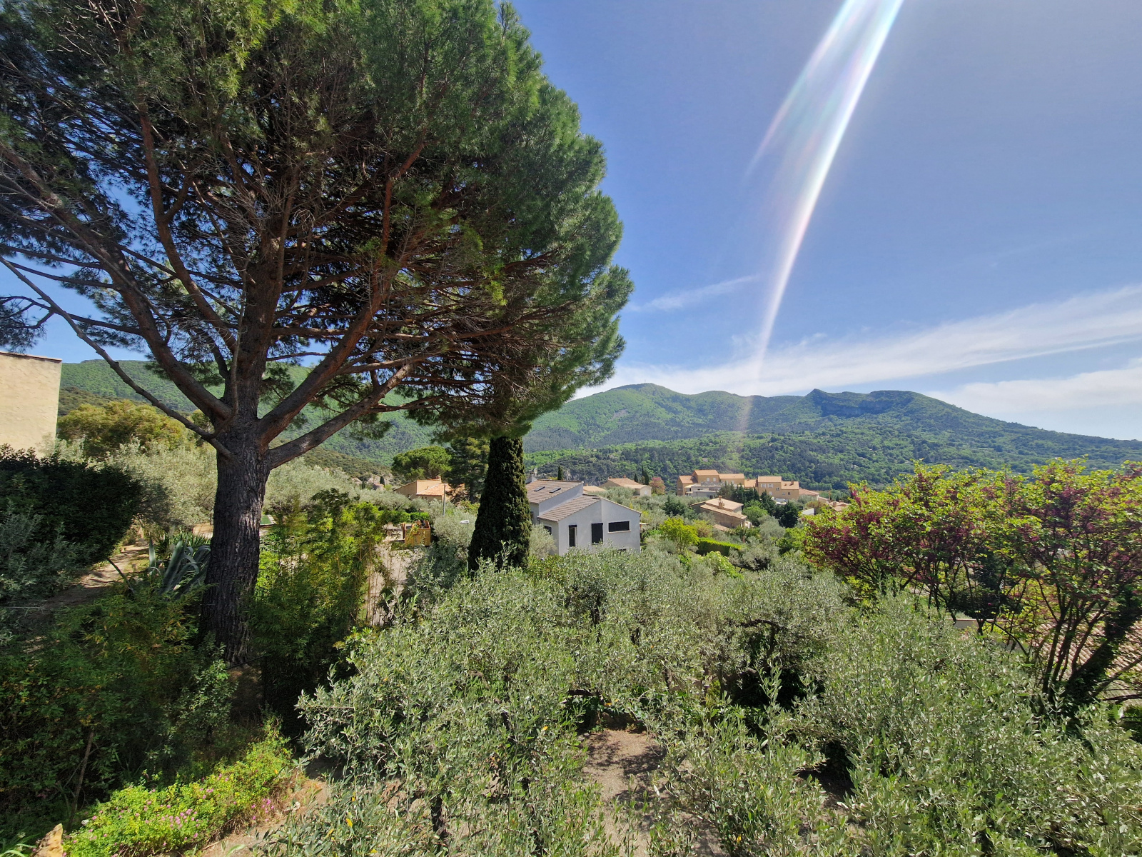 Image_, Villa, Nyons, ref :MA1877