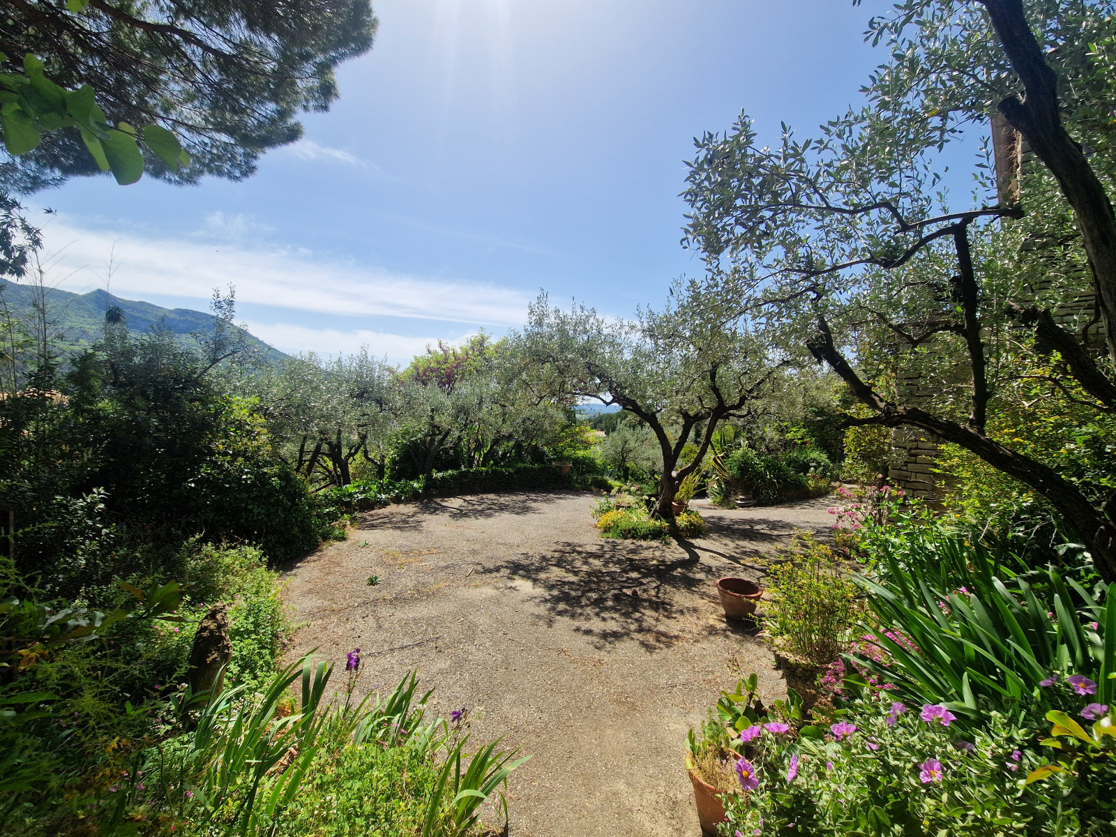 Image_, Villa, Nyons, ref :MA1877