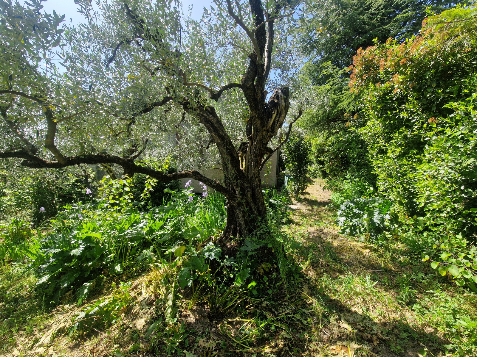 Image_, Villa, Nyons, ref :MA1877