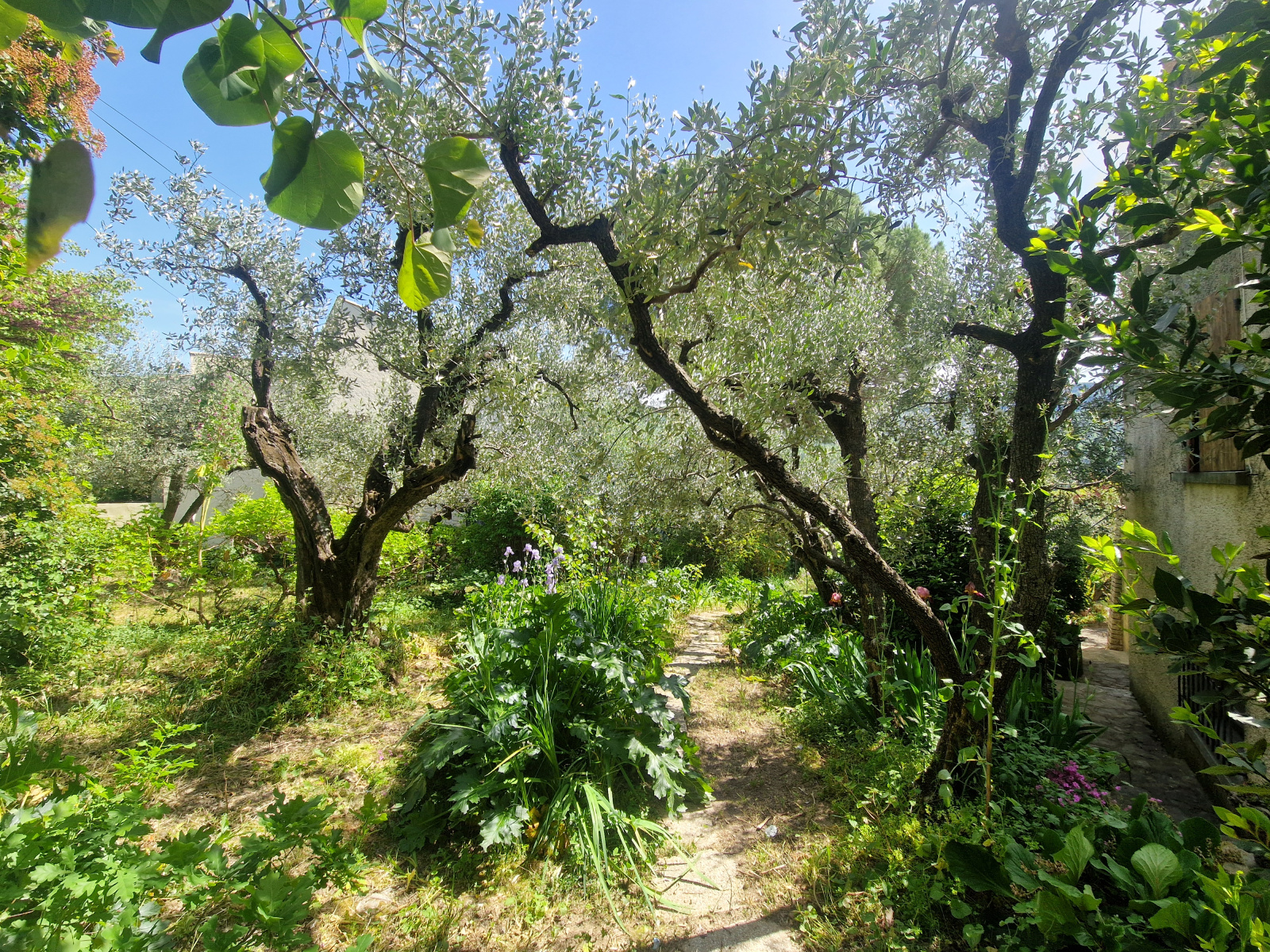 Image_, Villa, Nyons, ref :MA1877