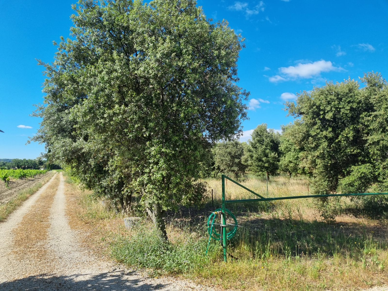 Image_, Villa, Valréas, ref :AO1585