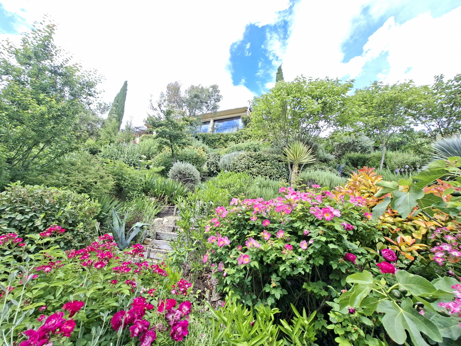 Image_, Propriete, Aubres, ref :PA1855
