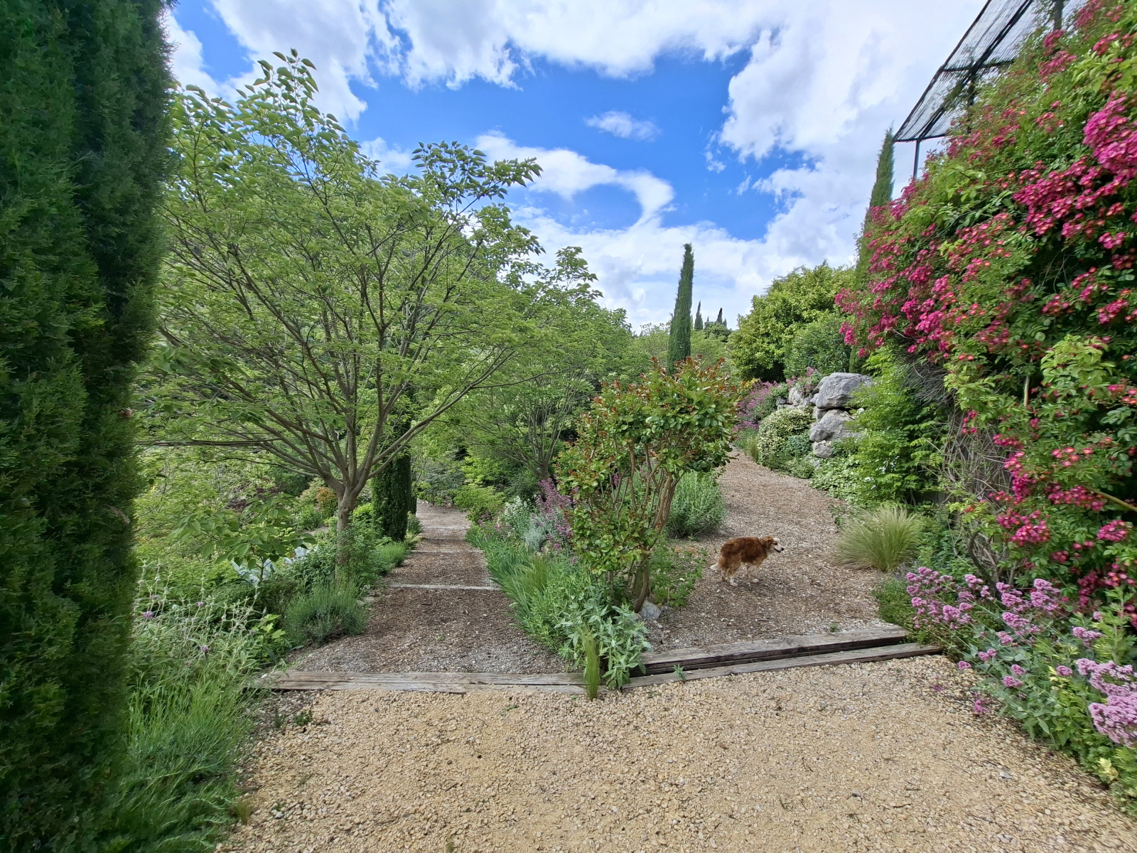 Image_, Propriete, Aubres, ref :PA1855