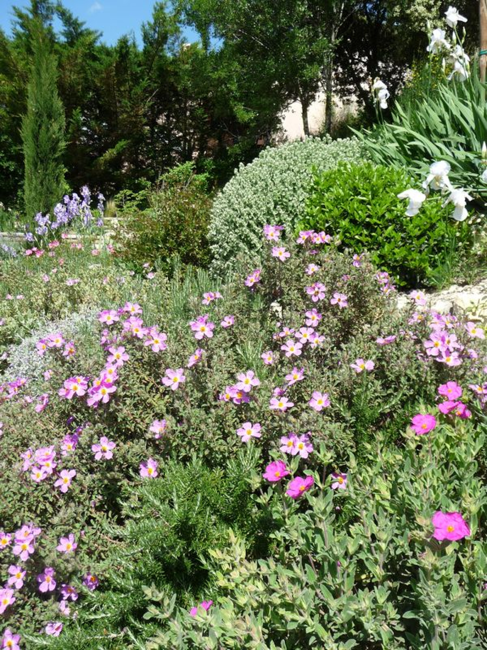 Image_, Propriete, Aubres, ref :PA1855