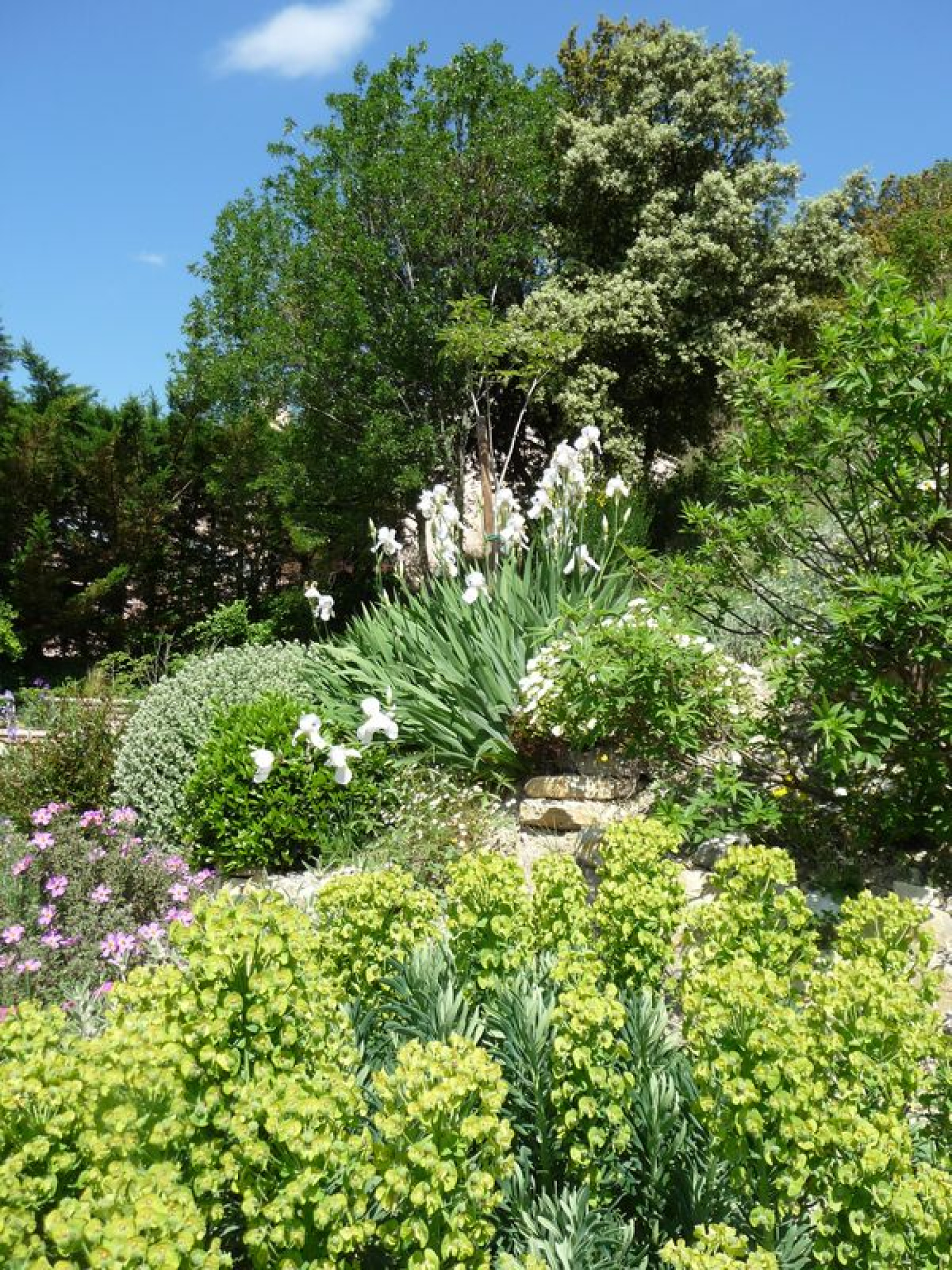 Image_, Propriete, Aubres, ref :PA1855