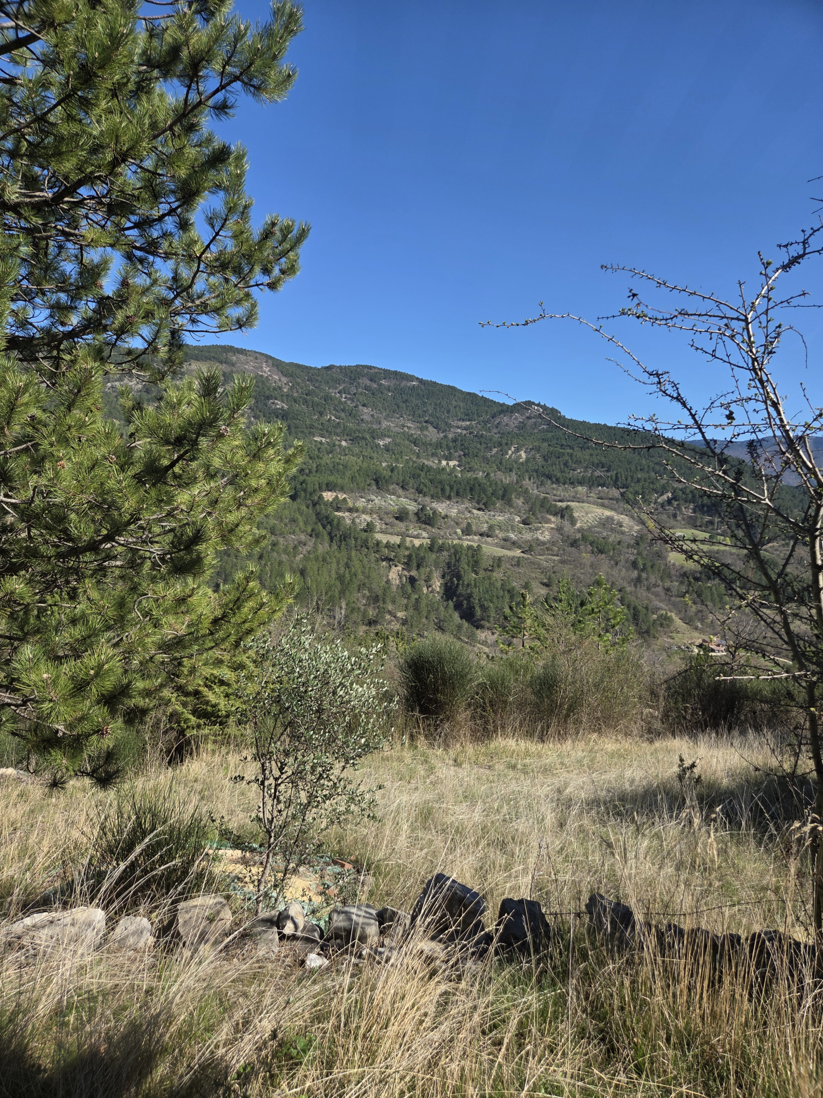 Image_, Cabanon, La Motte-Chalancon, ref :MA1874