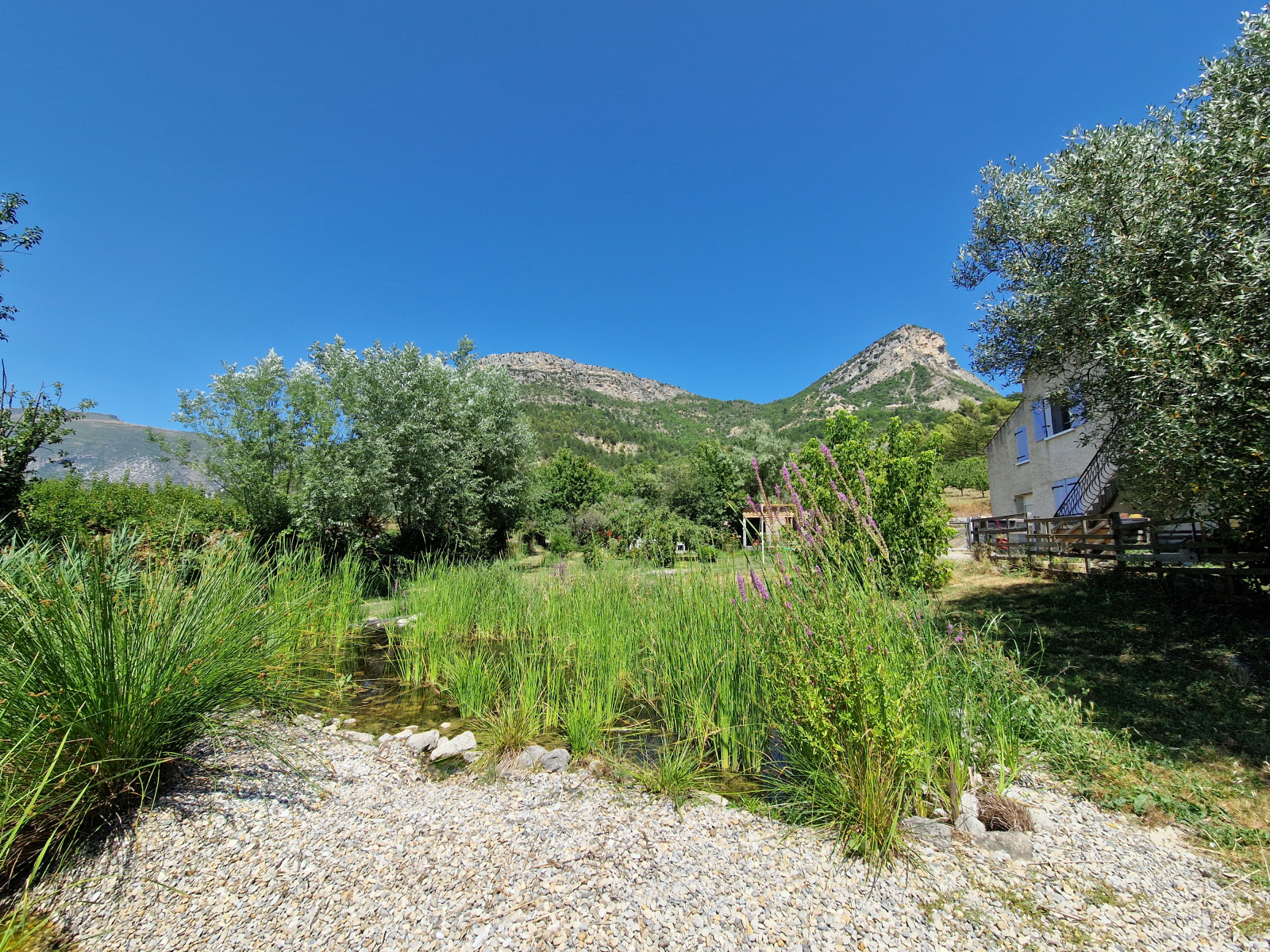Image_, Villa, Nyons, ref :AO1666
