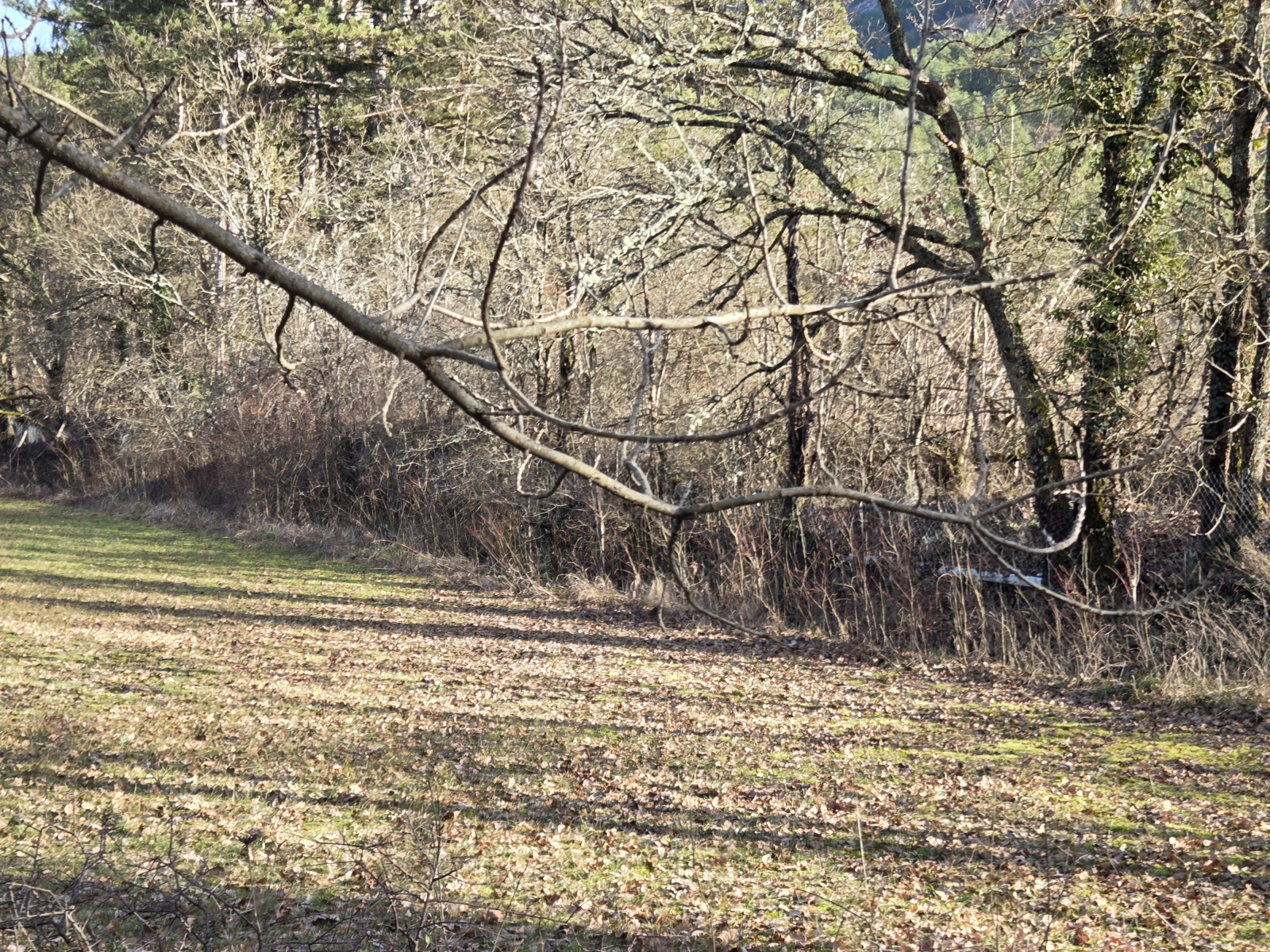 Image_, Villa, La Motte-Chalancon, ref :MA1857