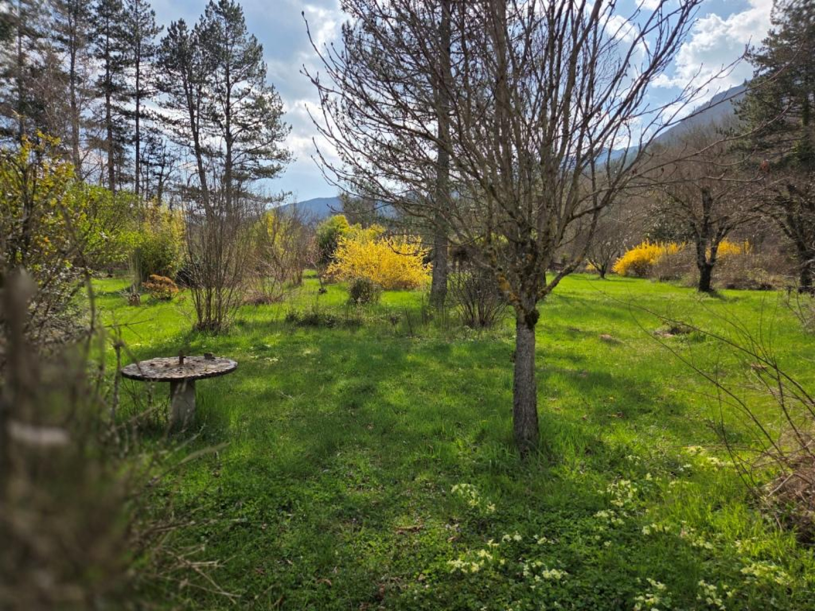 Image_, Villa, La Motte-Chalancon, ref :MA1857