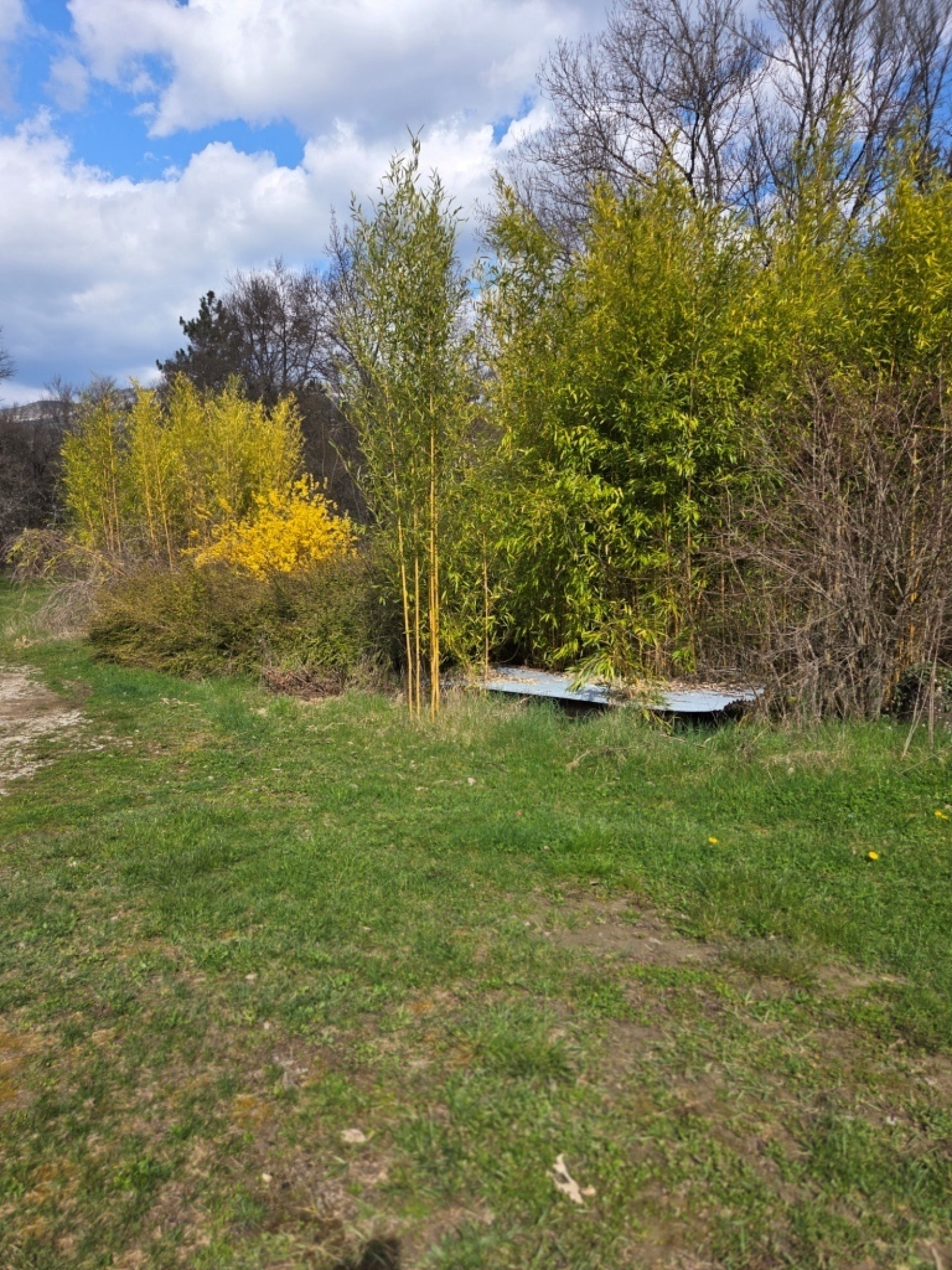 Image_, Villa, La Motte-Chalancon, ref :MA1857