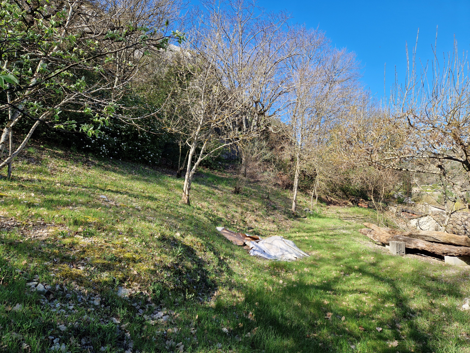 Image_, Maison de village, Pilles, ref :AO1805