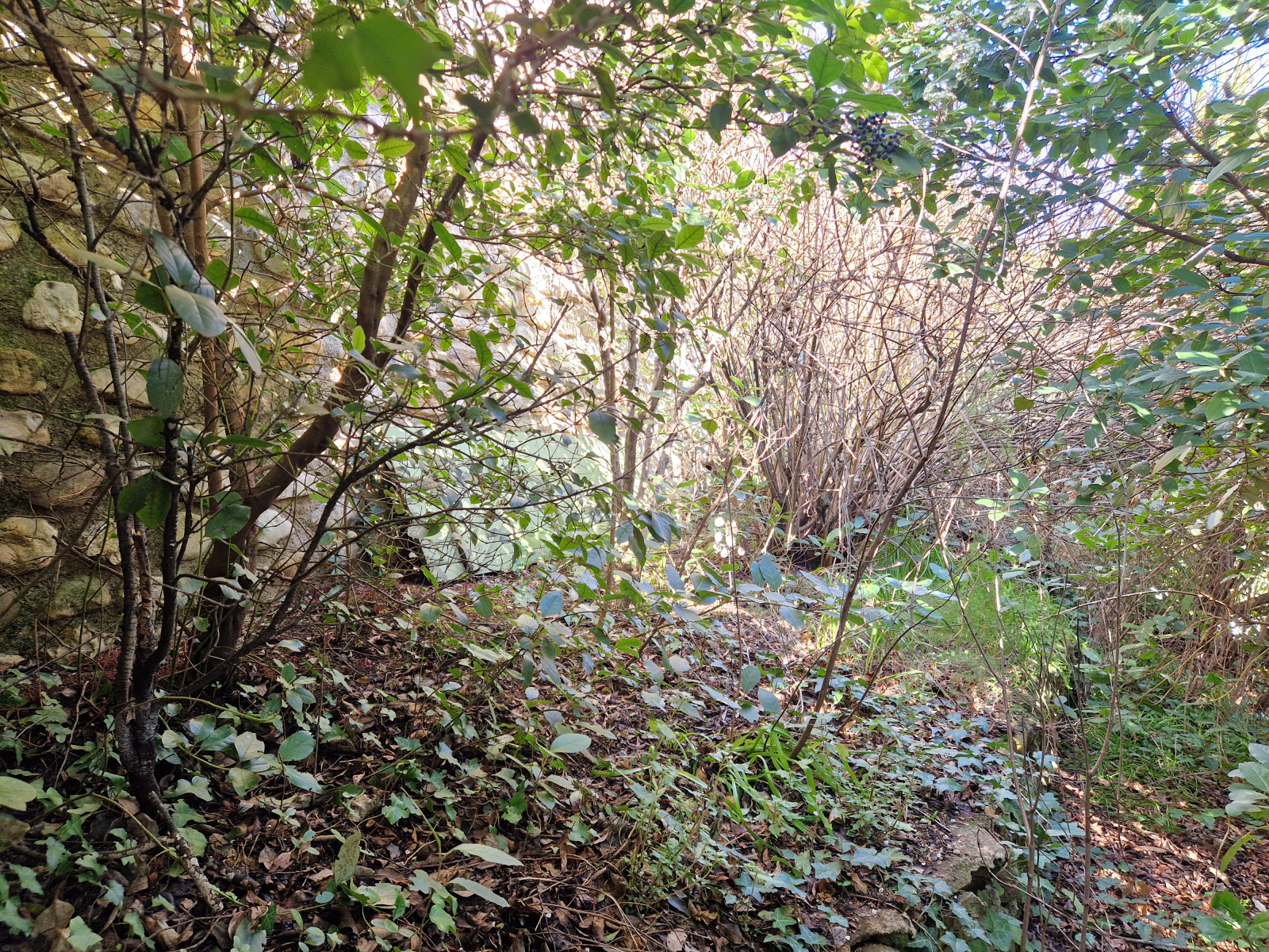 Image_, Maison de village, Vinsobres, ref :AO1856