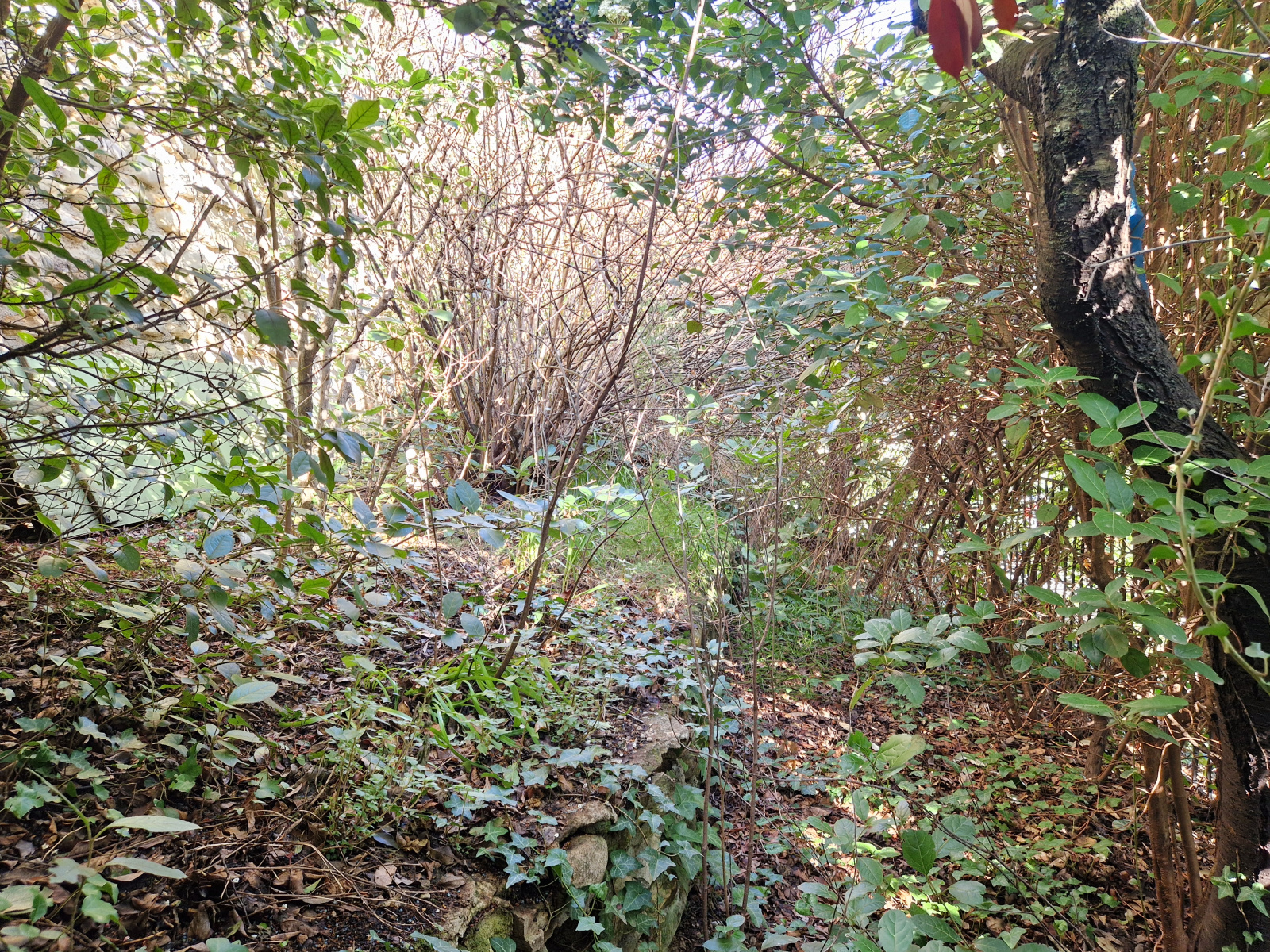 Image_, Maison de village, Vinsobres, ref :AO1856