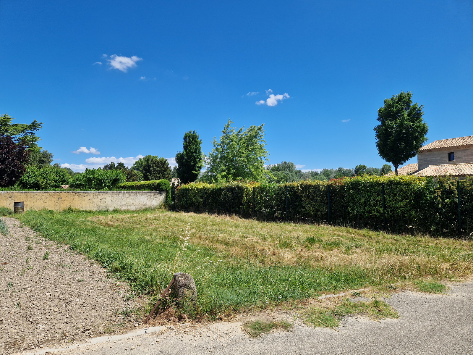 Image_, Terrain, Richerenches, ref :AO1901