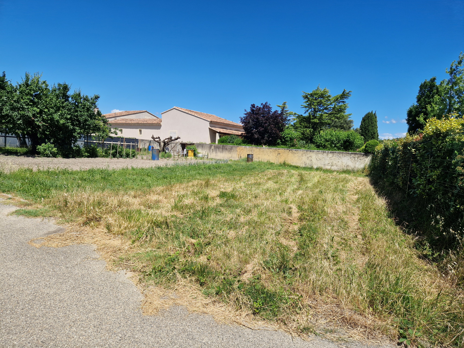 Image_, Terrain, Richerenches, ref :AO1901