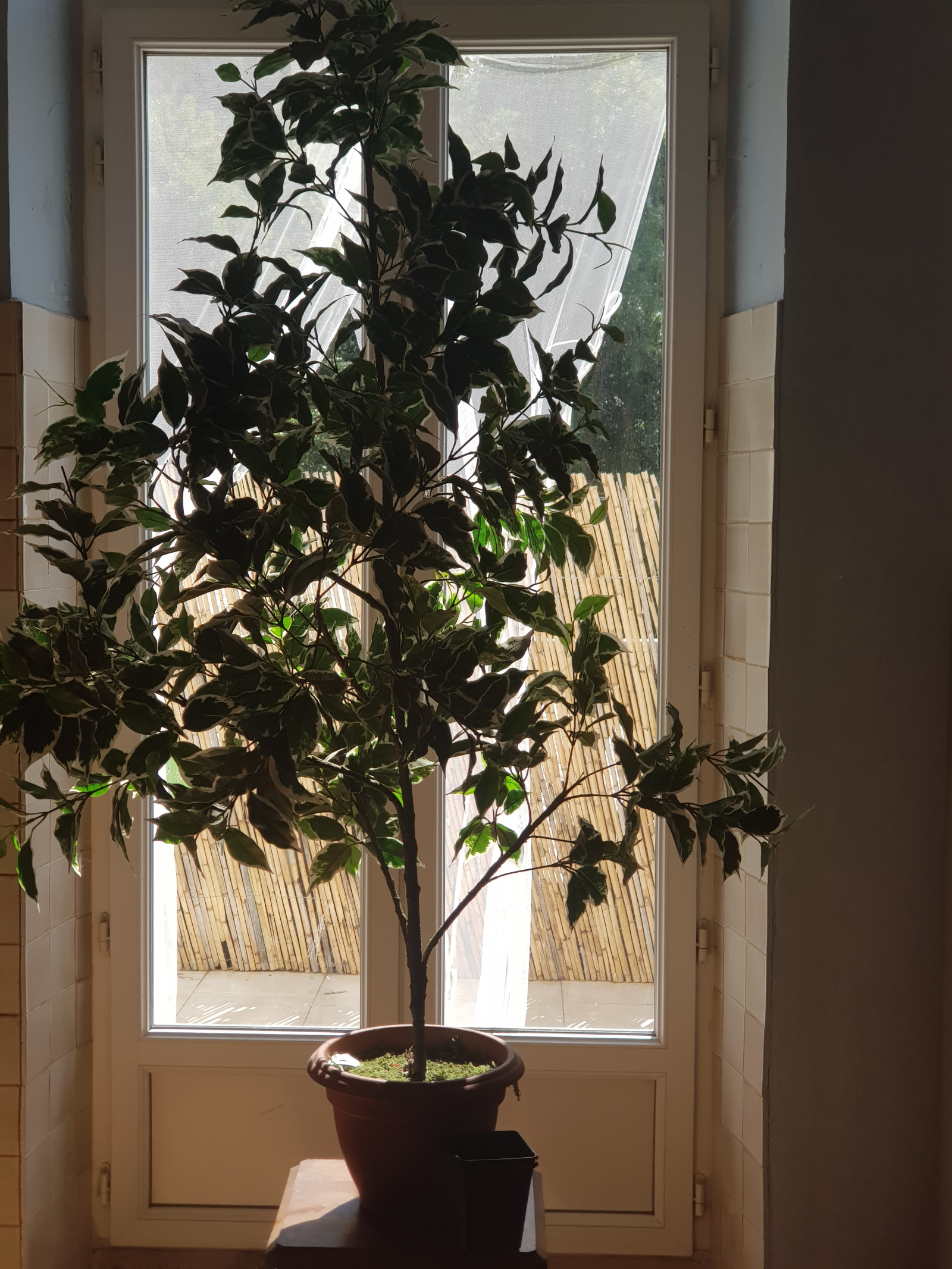 Image_, Appartement, Rémuzat, ref :MA1781