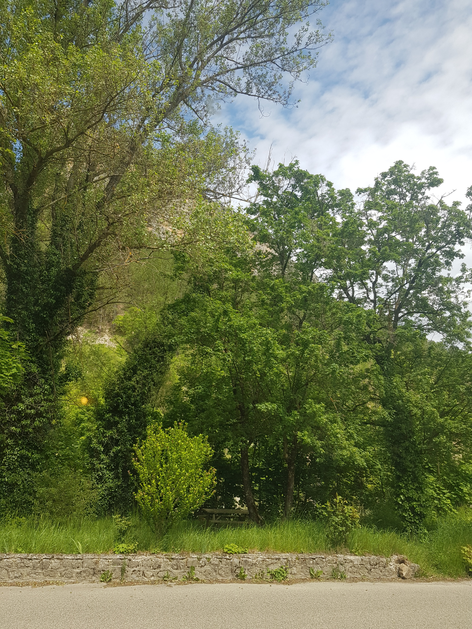 Image_, Appartement, Rémuzat, ref :MA1781