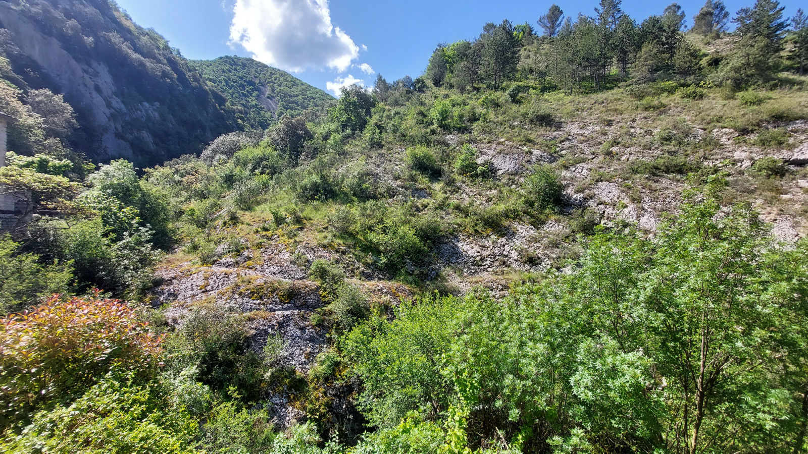Image_, Maison de village, Pilles, ref :AO1804